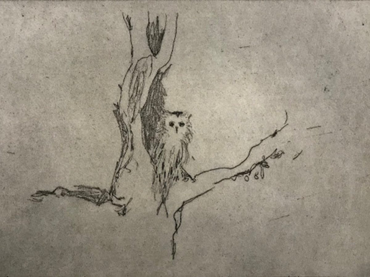 Little owl – Self Portrait by Tracey Emin