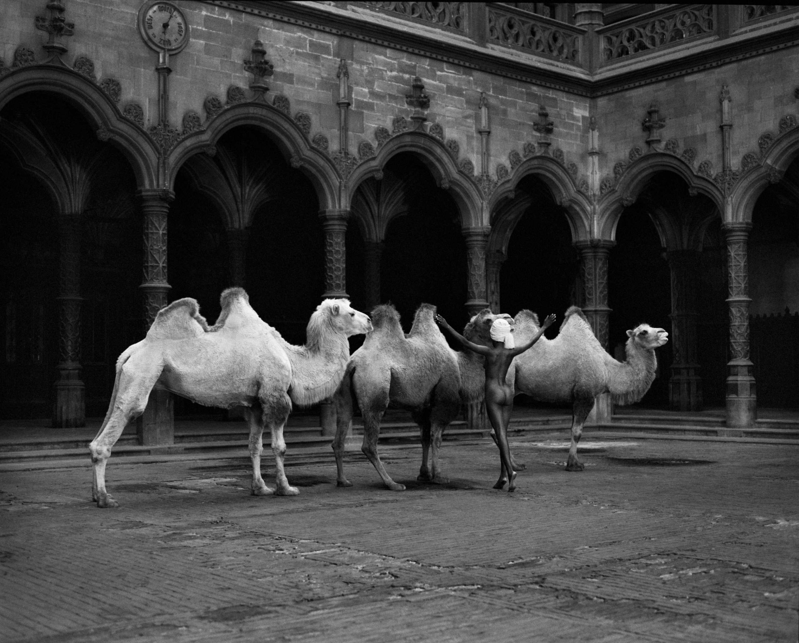 The Herder by Marc Lagrange