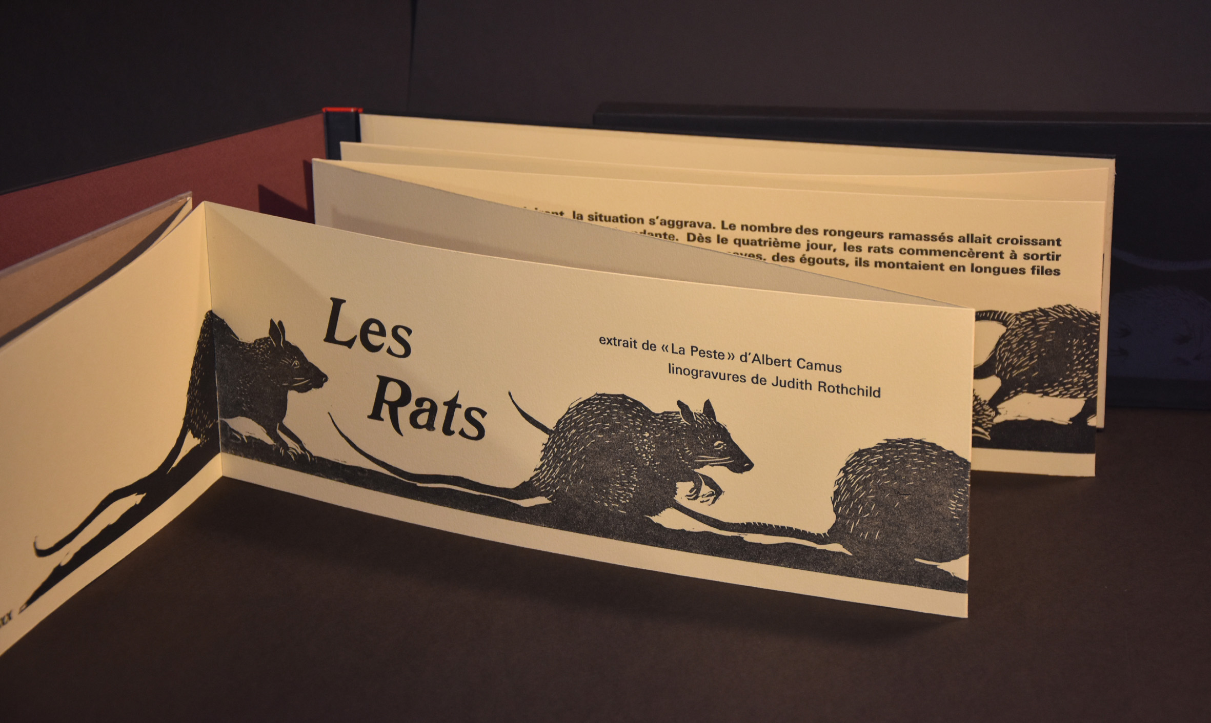 Les Rats by Judith Rothchild