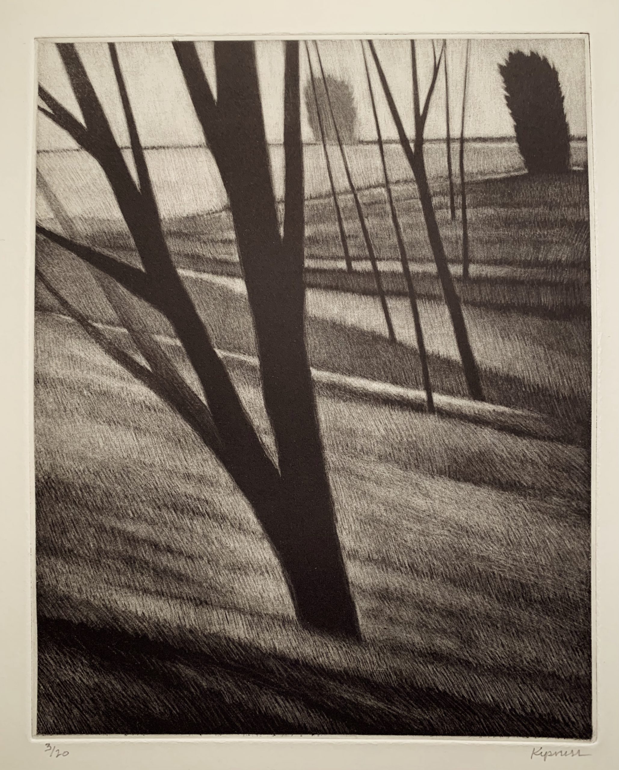 Slope w / seven trees by Robert Kipniss