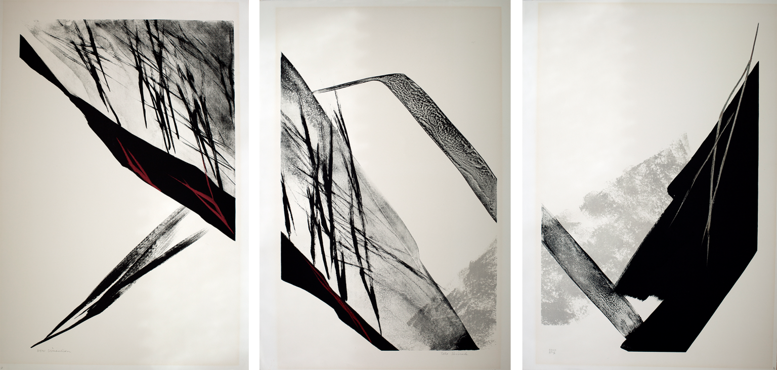 New Dimension (Triptych) by Toko Shinoda