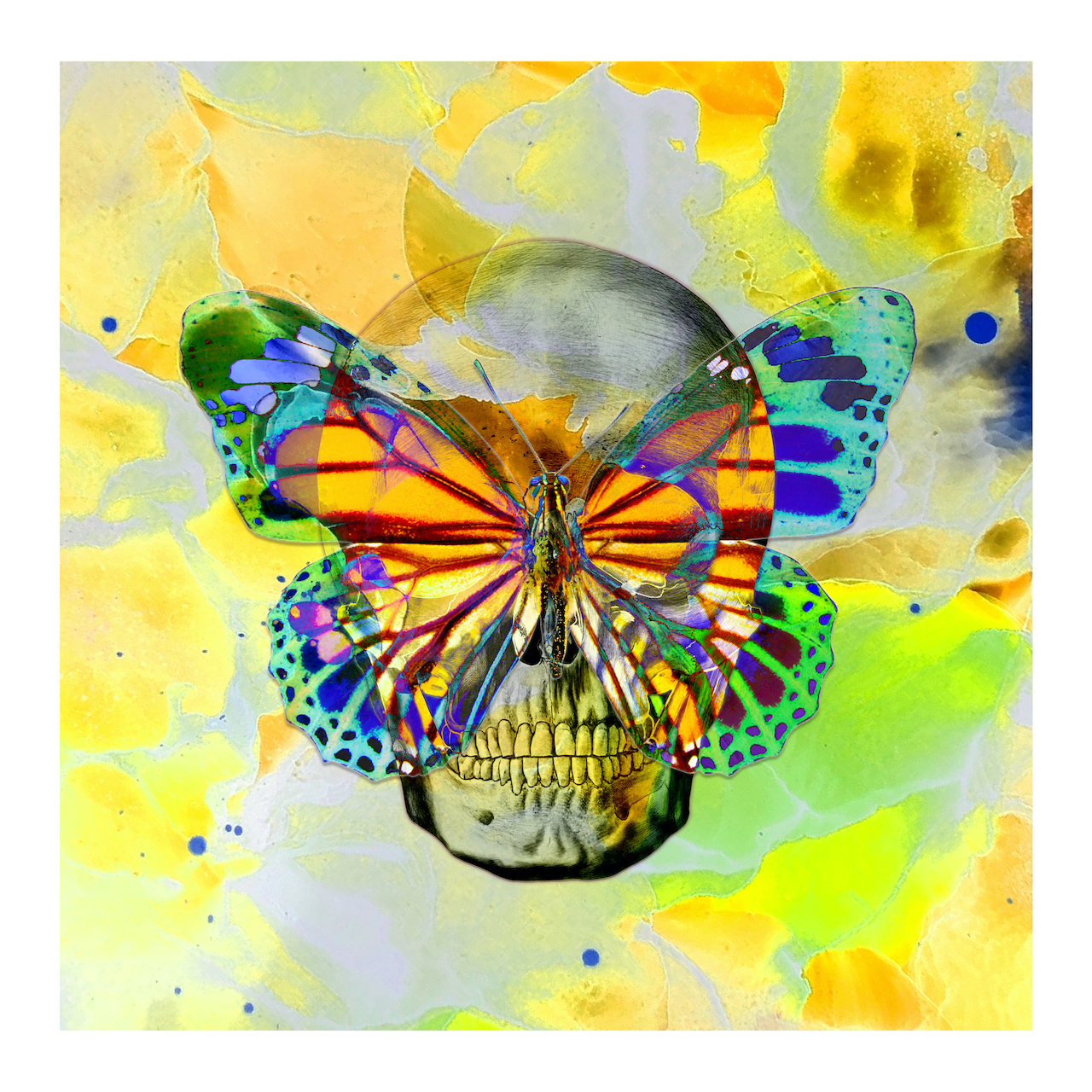 Skullfly: Addicted to Yellow by Tunku Khalsom