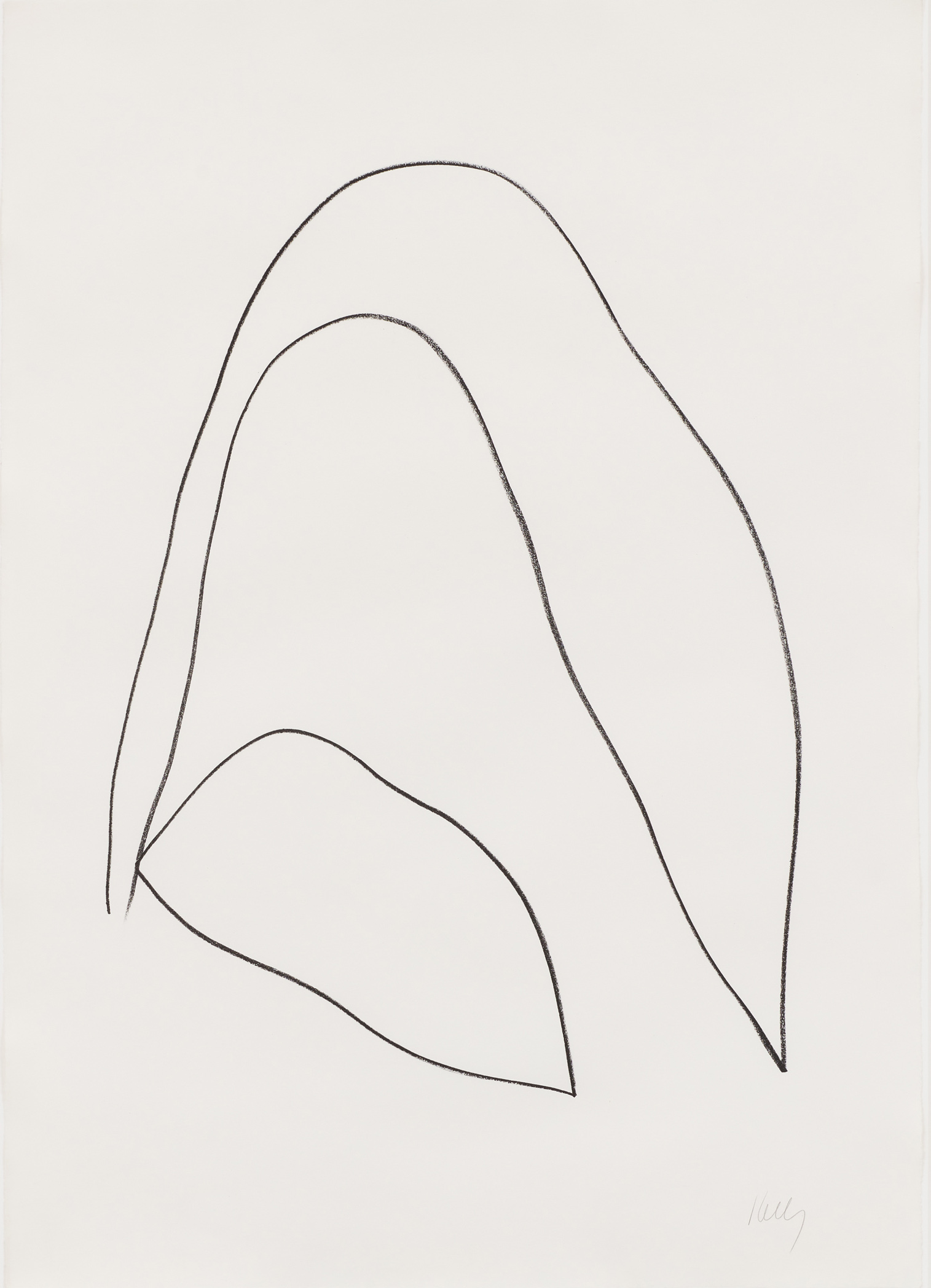 Leaves by Ellsworth Kelly