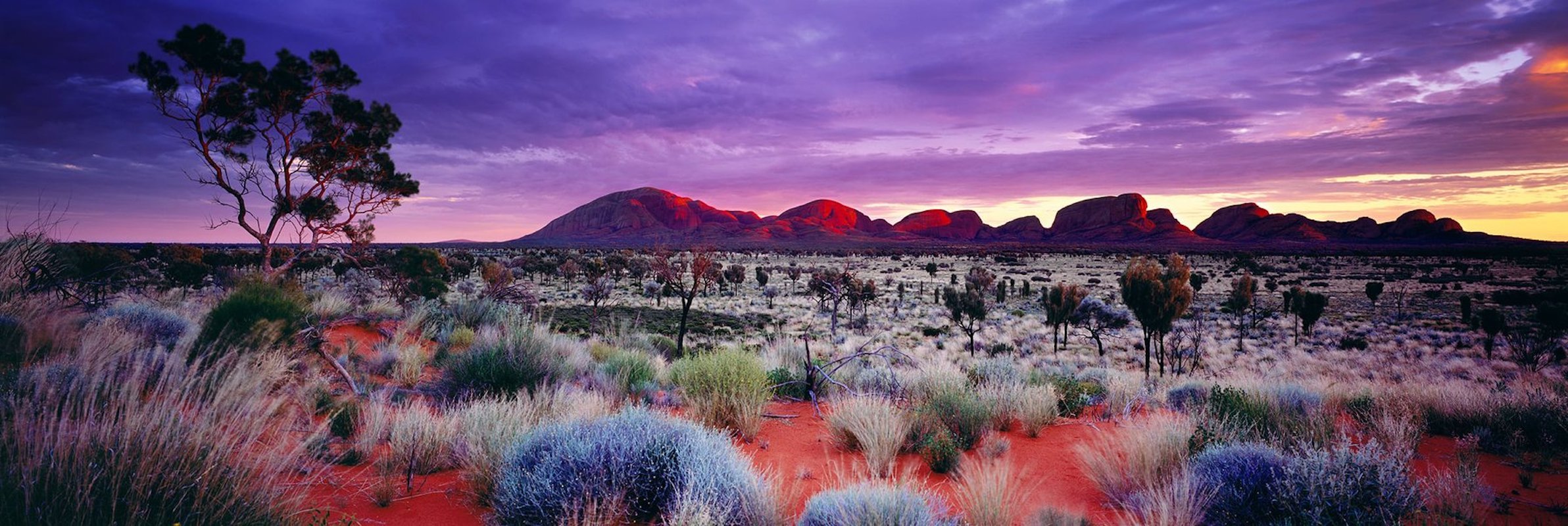 Painted Skies by Peter Lik