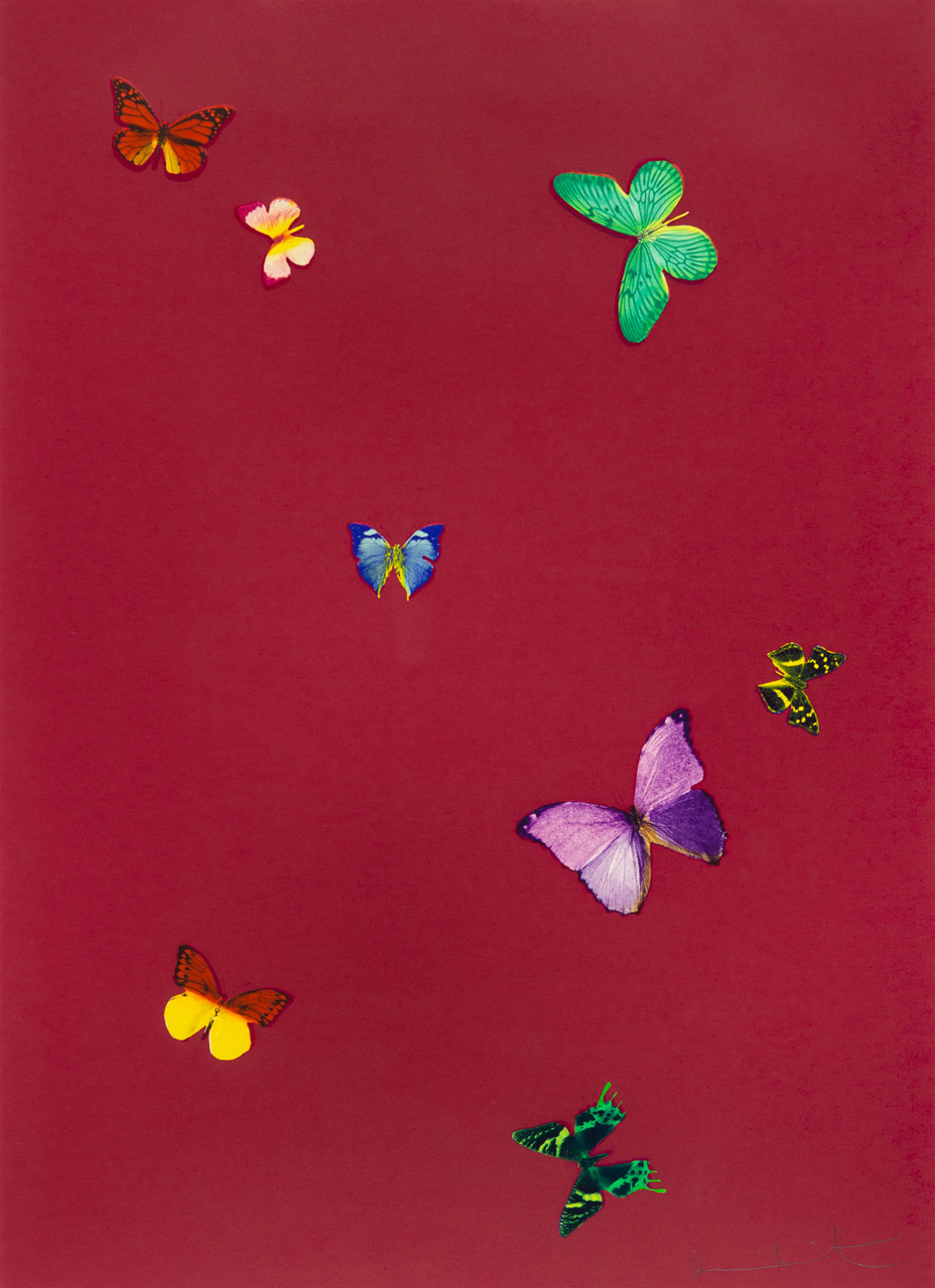 Your Smell (from The Wonder of You) by Damien Hirst