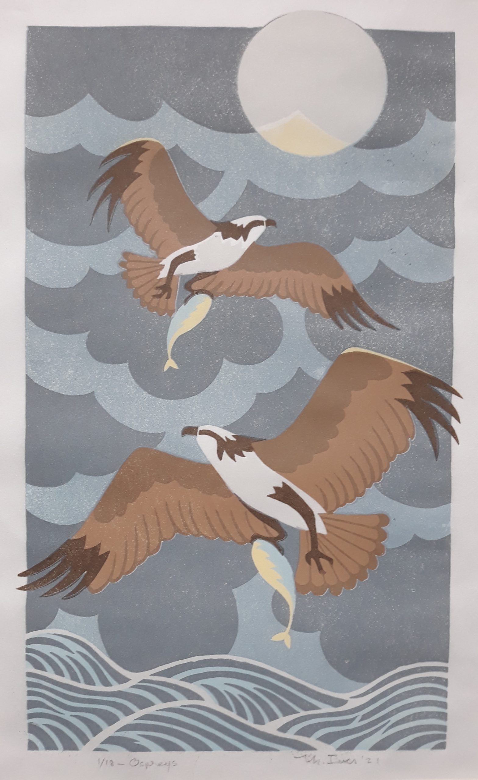 Ospreys – Blue by Martha Ives