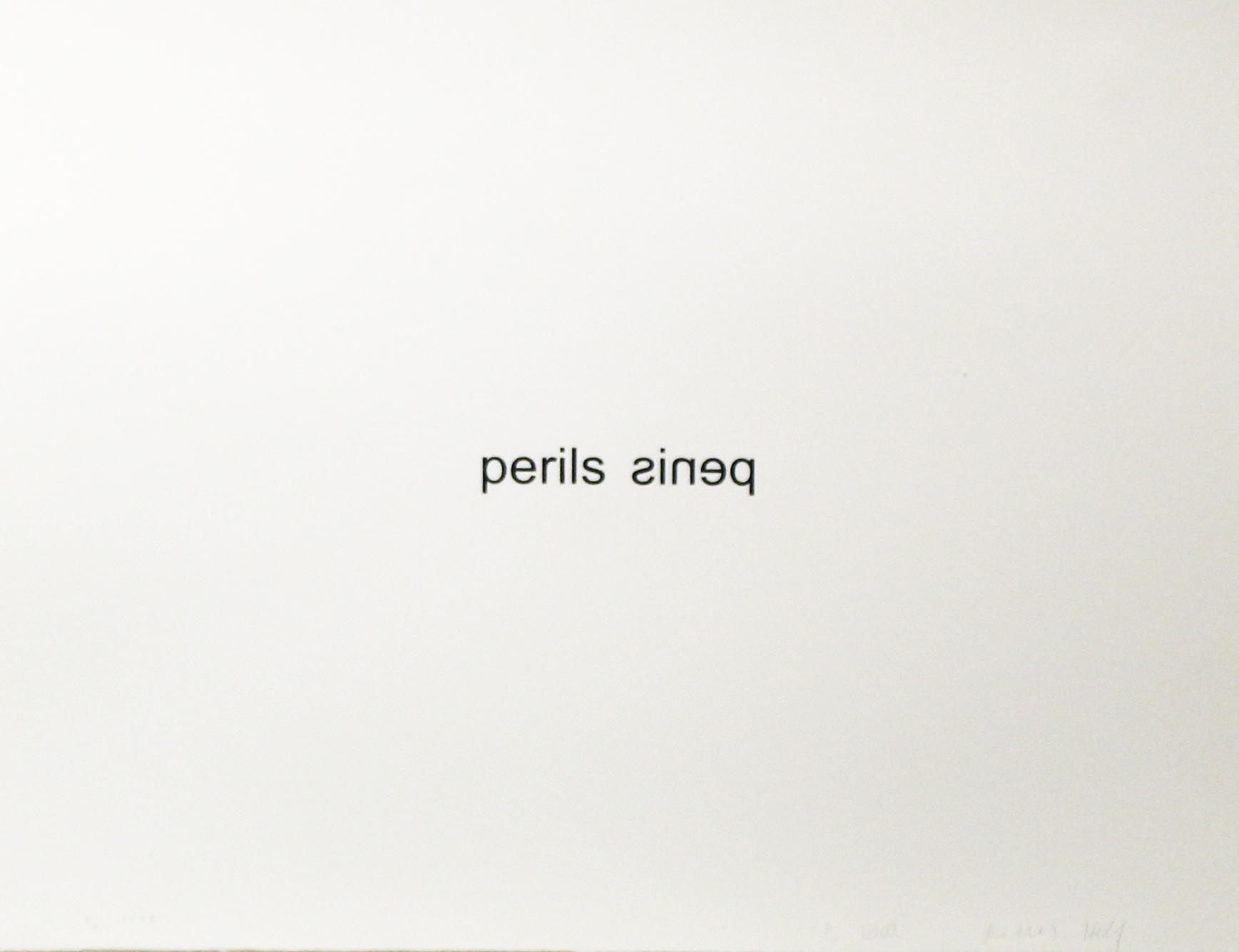 Penis Perils  (from the Psychopts portfolio) by Christopher Wool & Richard Hell