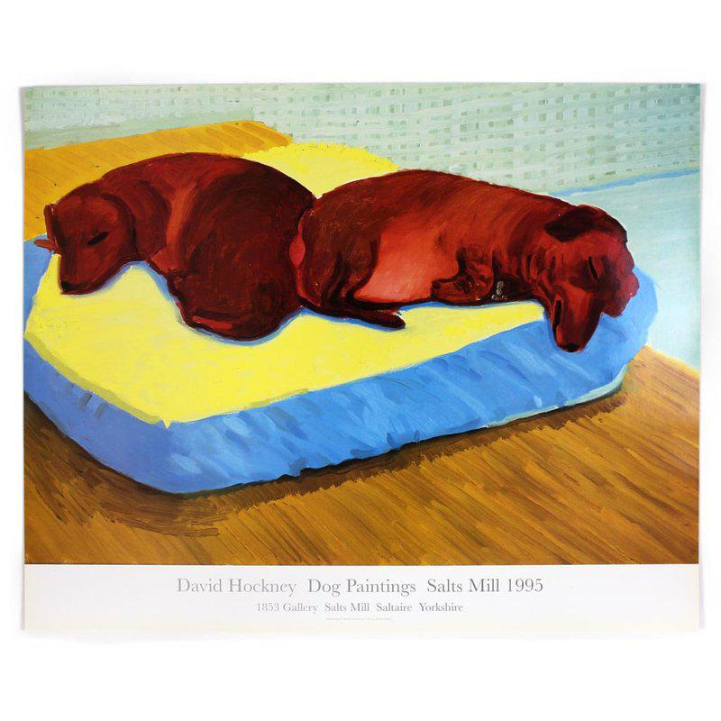 Dog 38 by David Hockney