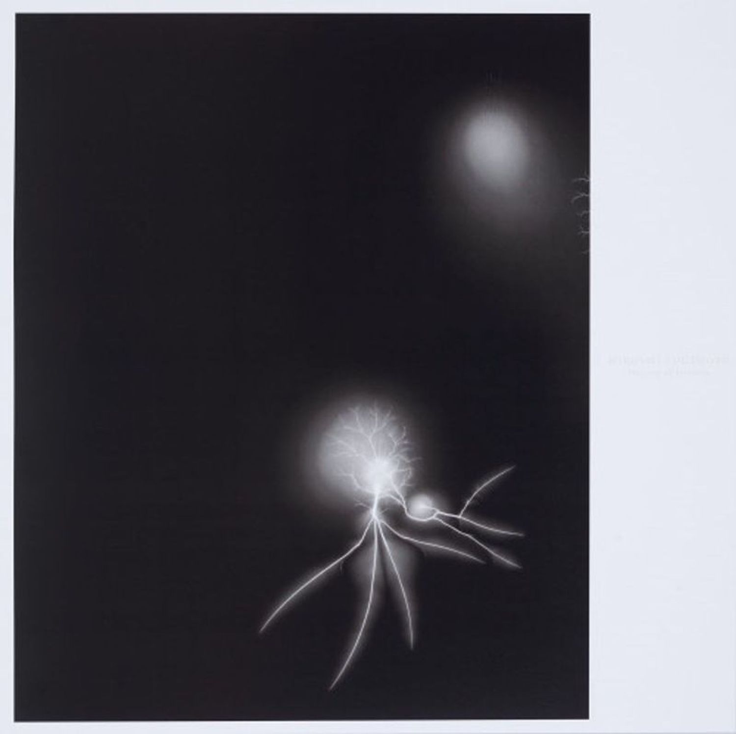 History of History: Lightning Fields 057 by Hiroshi Sugimoto