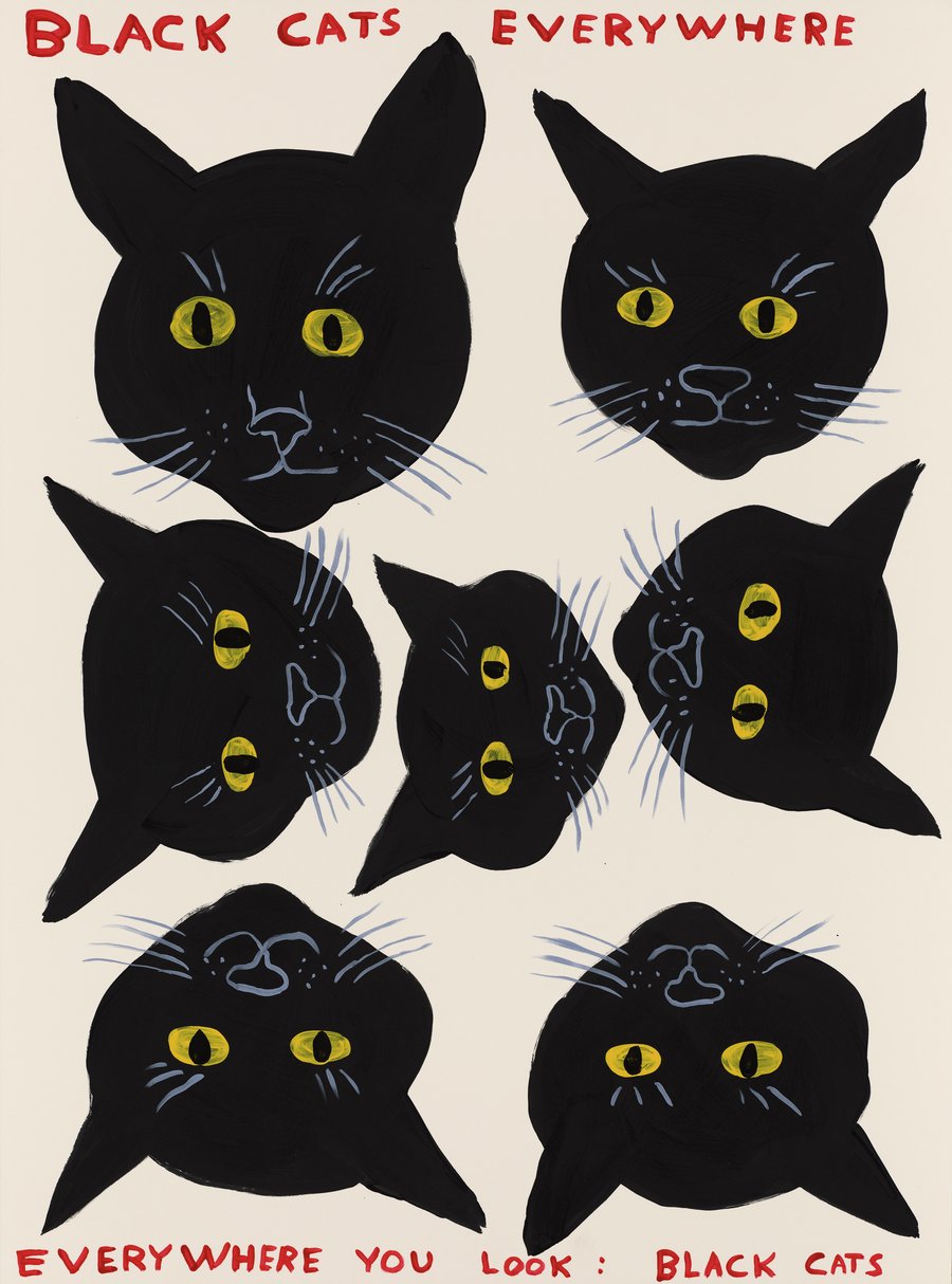 Black Cats Everywhere by David Shrigley