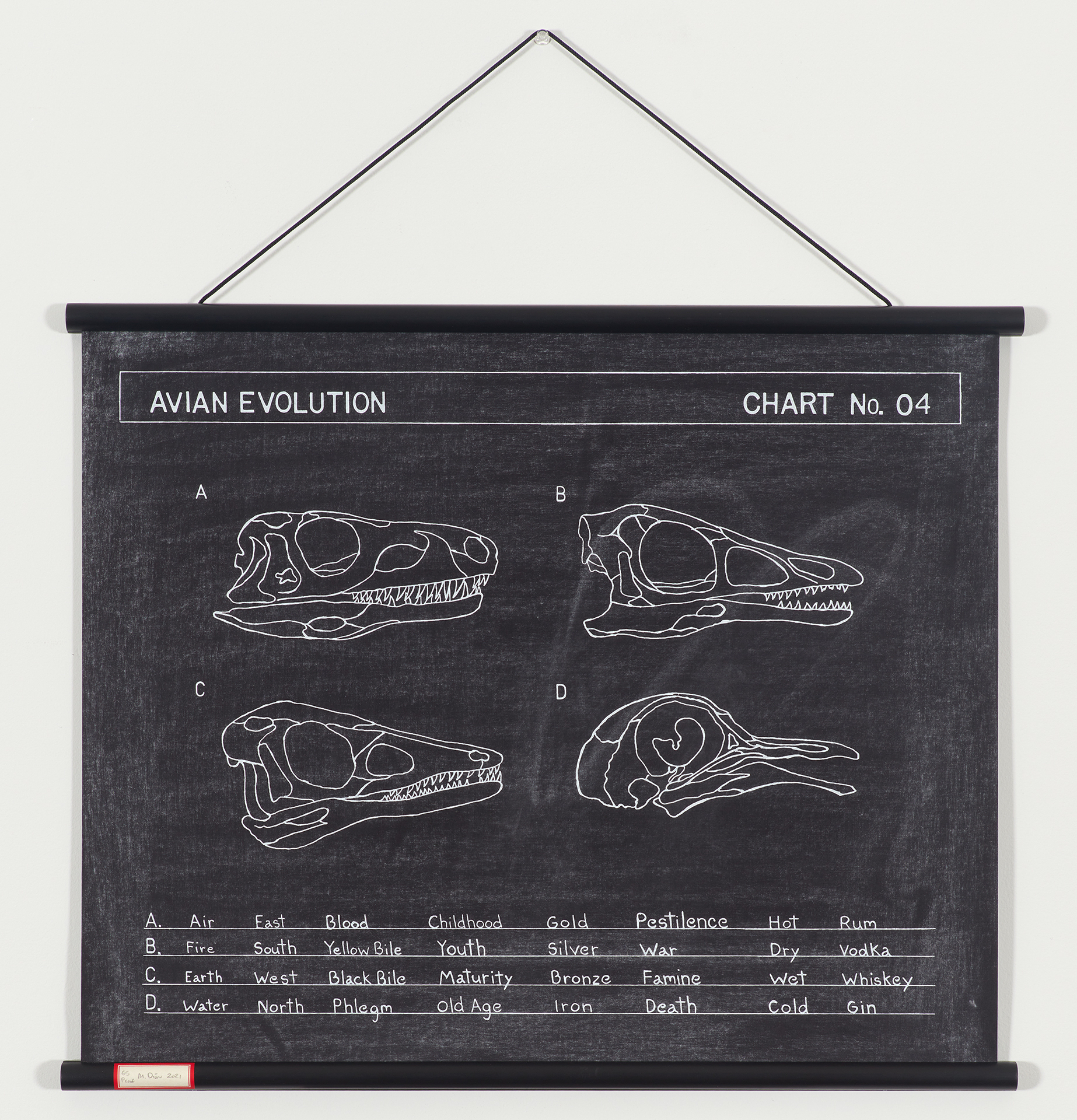 Avian Evolution by Mark Dion