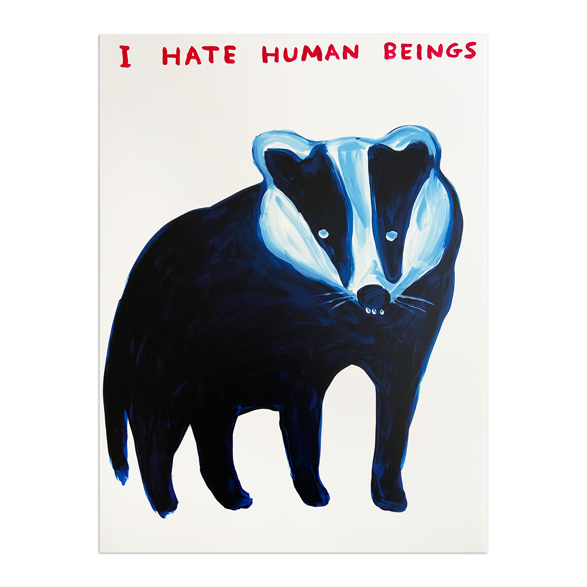 I Hate Human Beings by David Shrigley