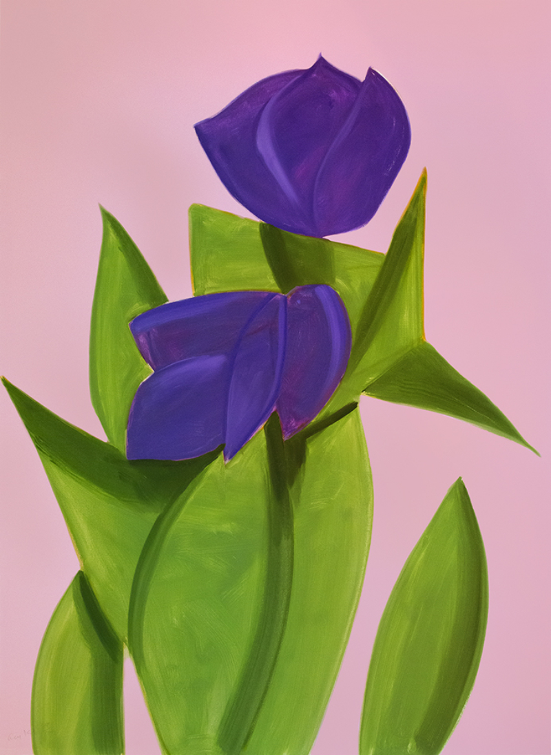 Purple Tulips 2, from The Flowers Portfolio by Alex Katz