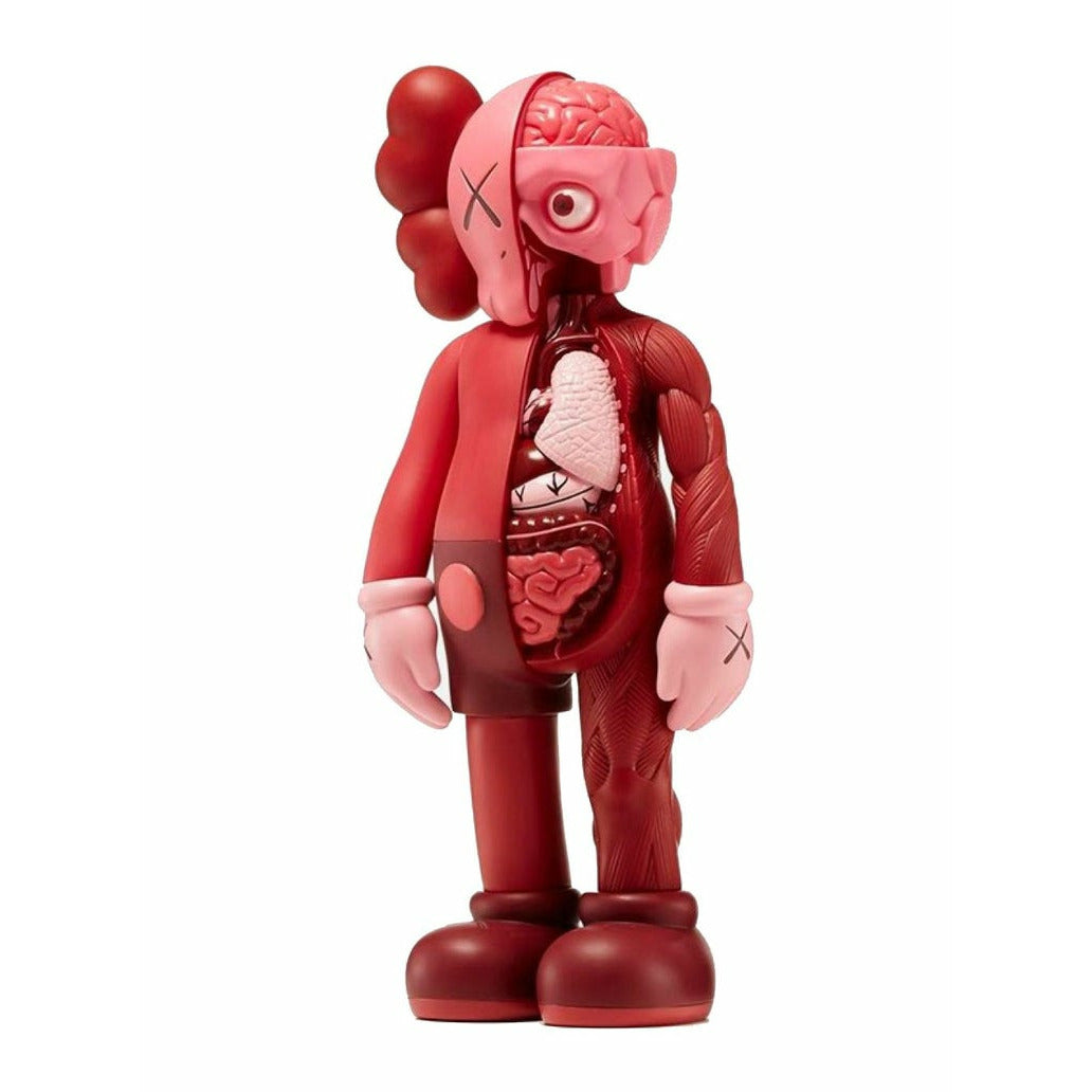 Companion Flayed – blush by KAWS