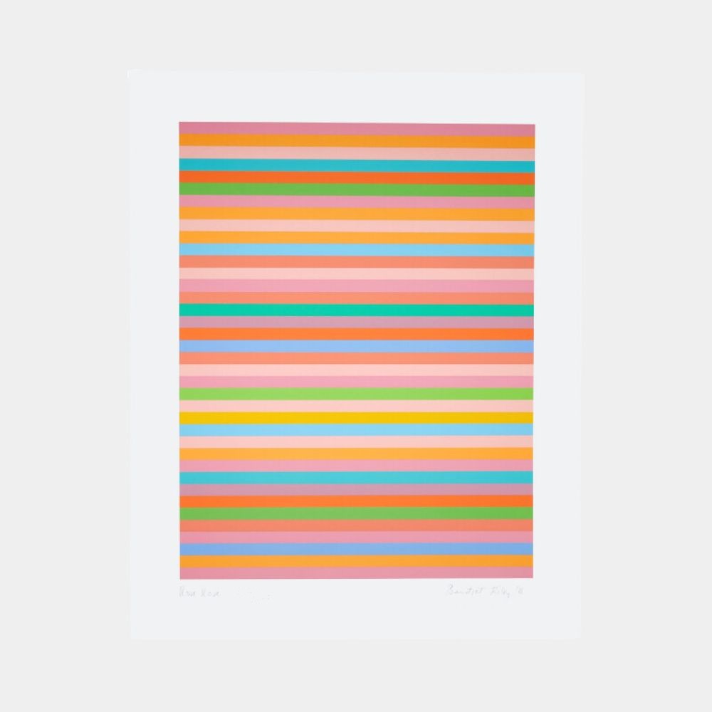 Rose Rose by Bridget Riley