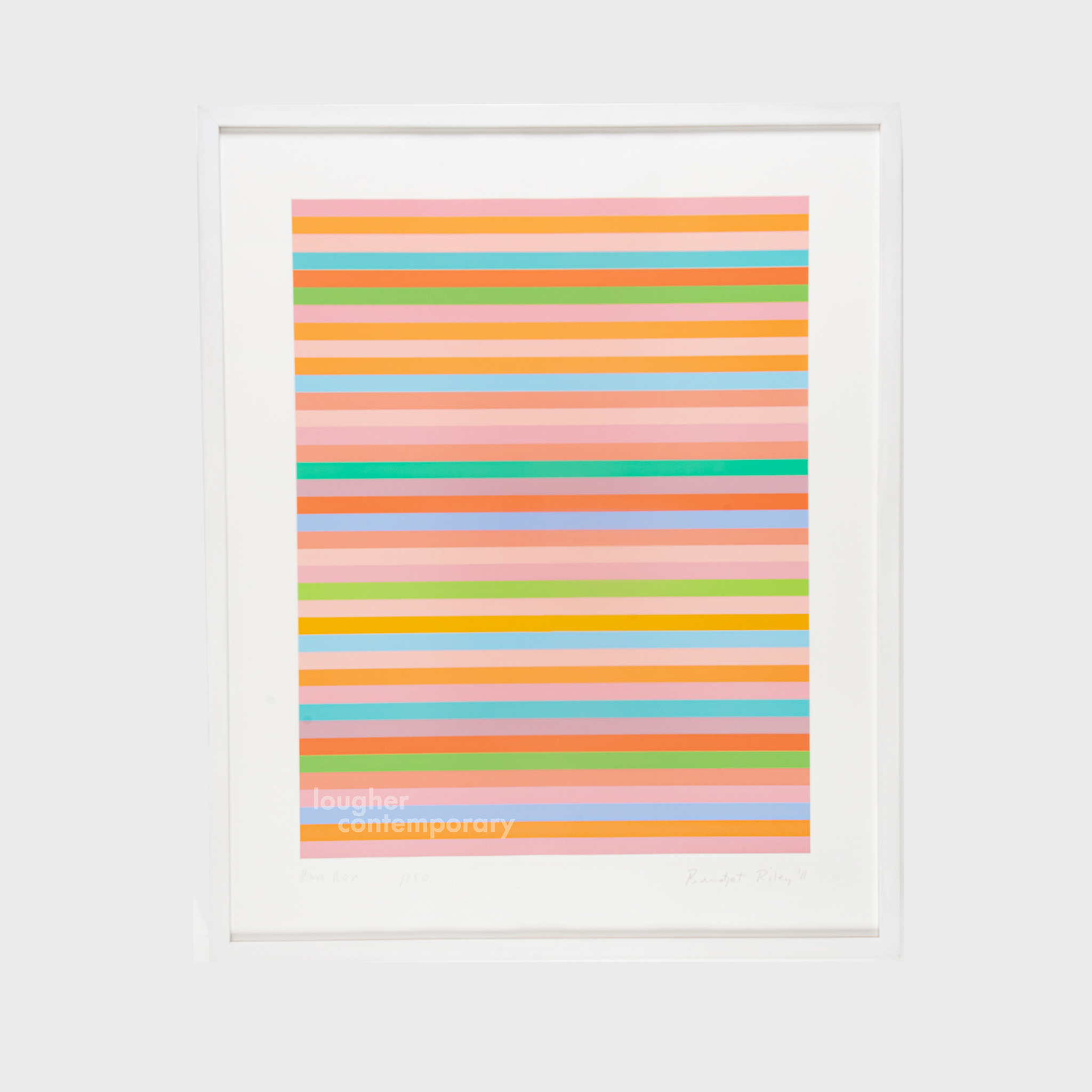 Rose Rose by Bridget Riley