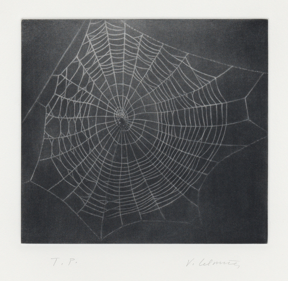 Untitled (Web I) by Vija Celmins