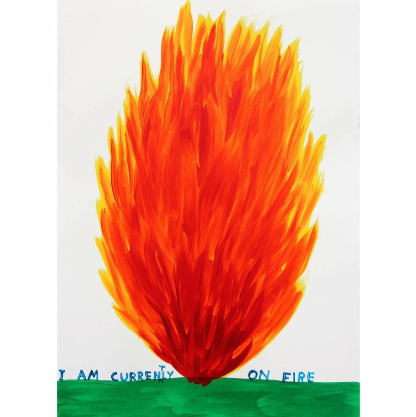 I Am Currently On Fire by David Shrigley