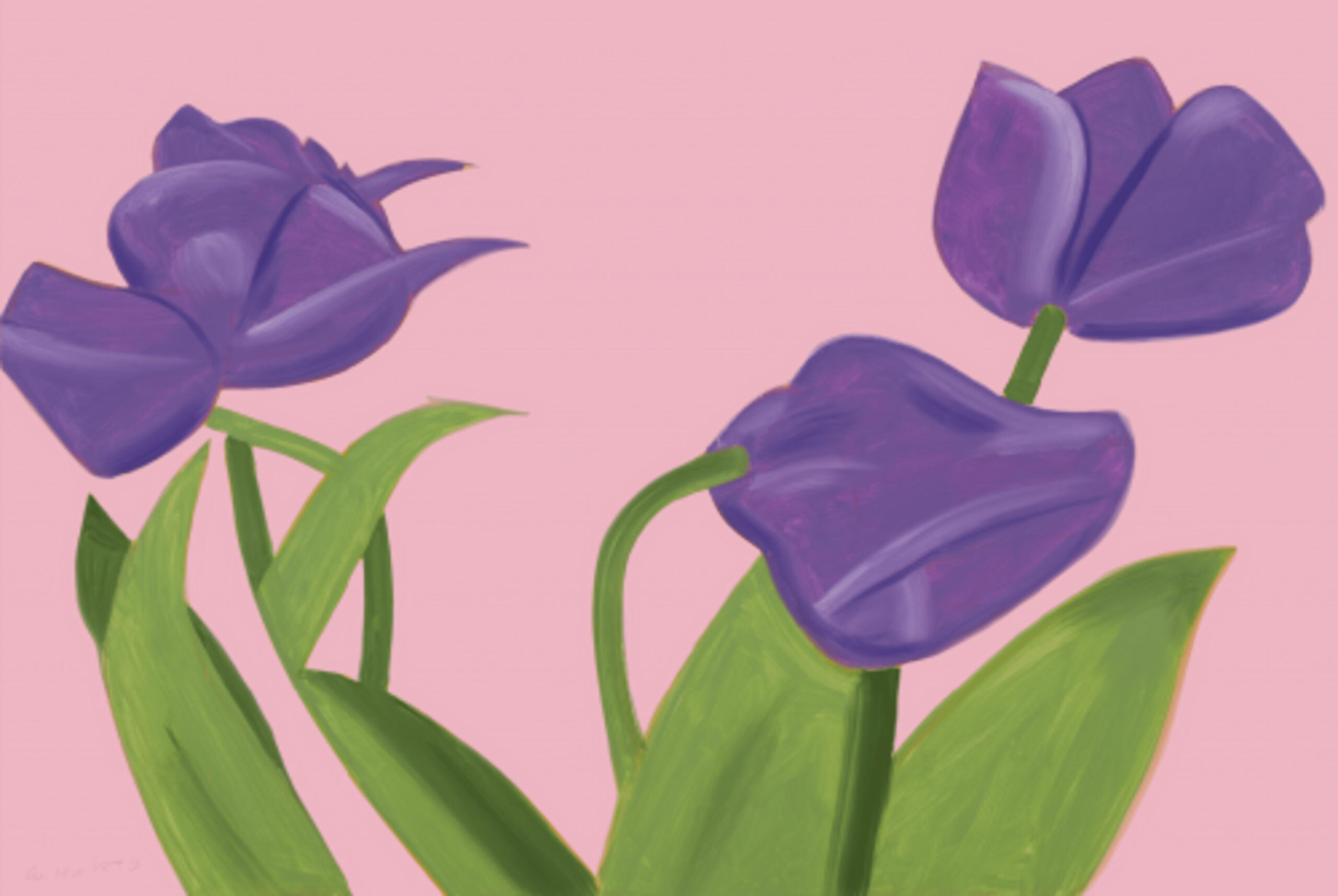 Purple Tulips I by Alex Katz