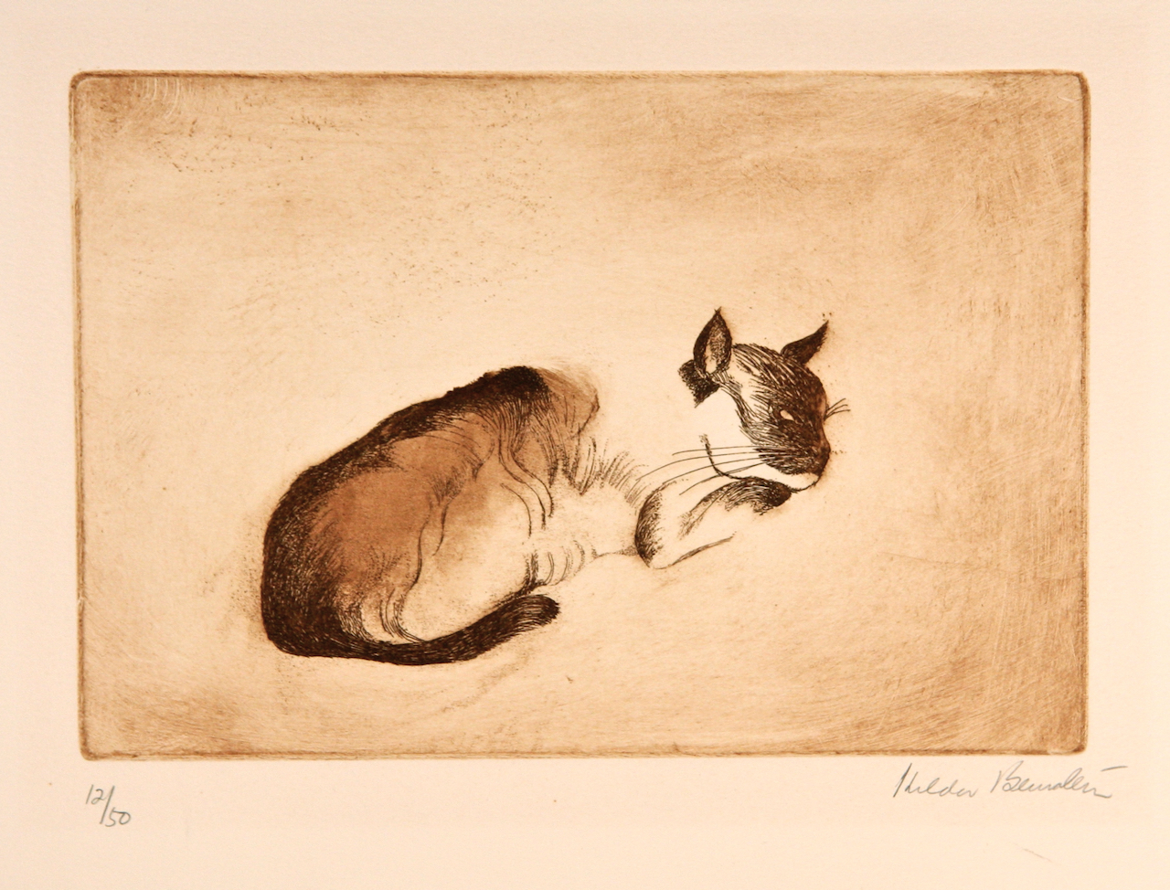 Cat resting by Hilda Bernstein