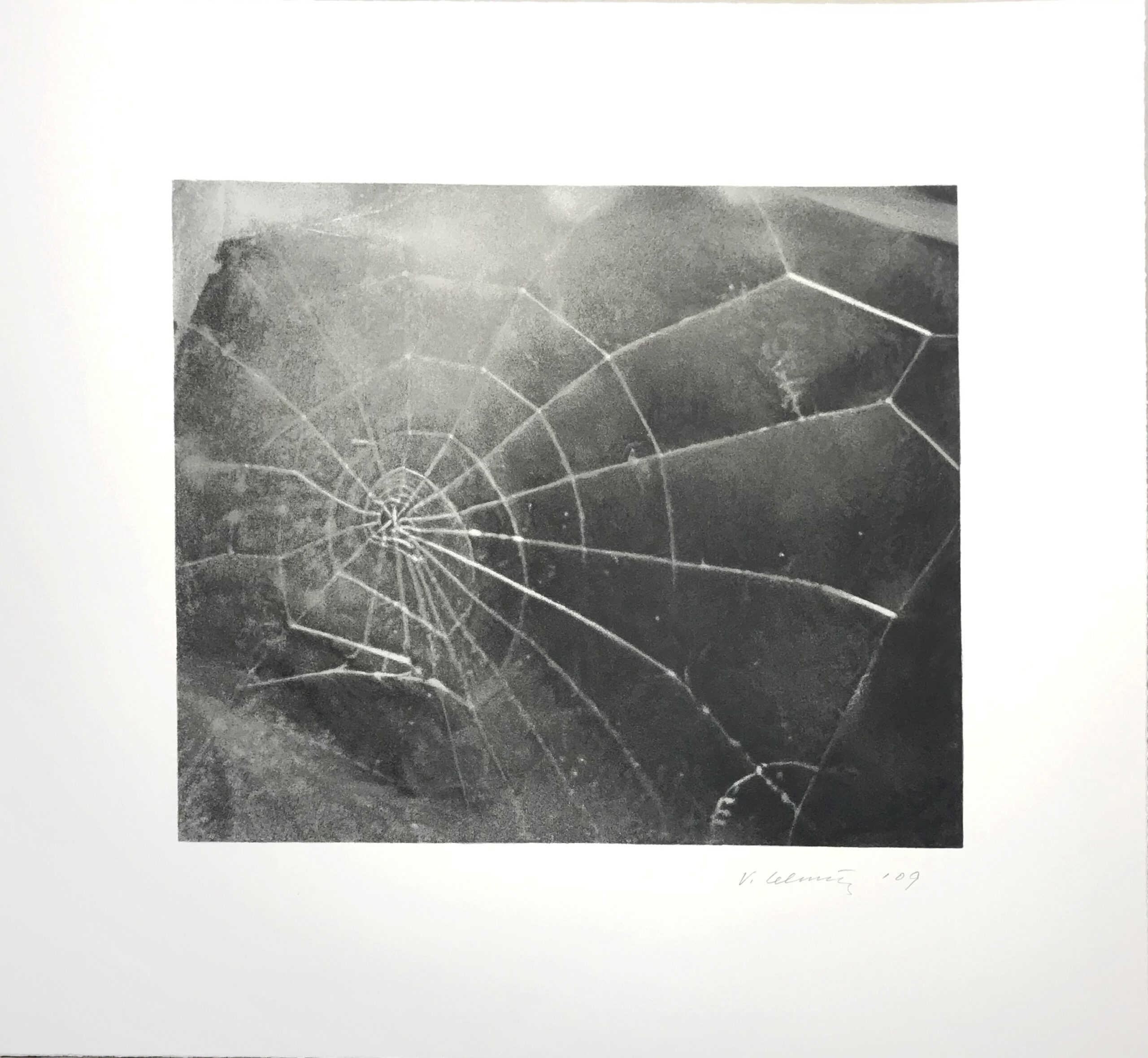 Spider Web by Vija Celmins