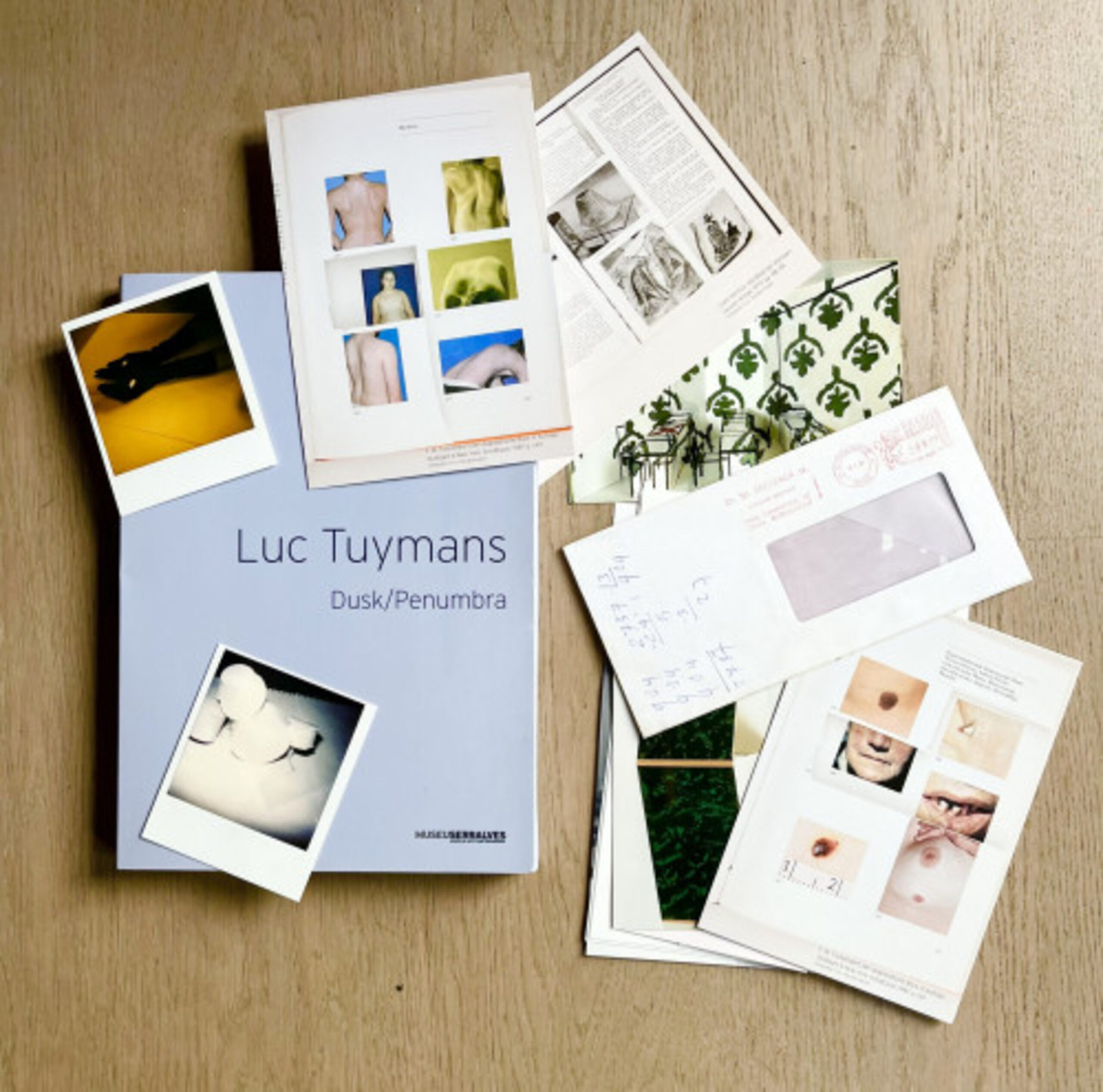 Dusk/Penumbra (book) by Luc Tuymans