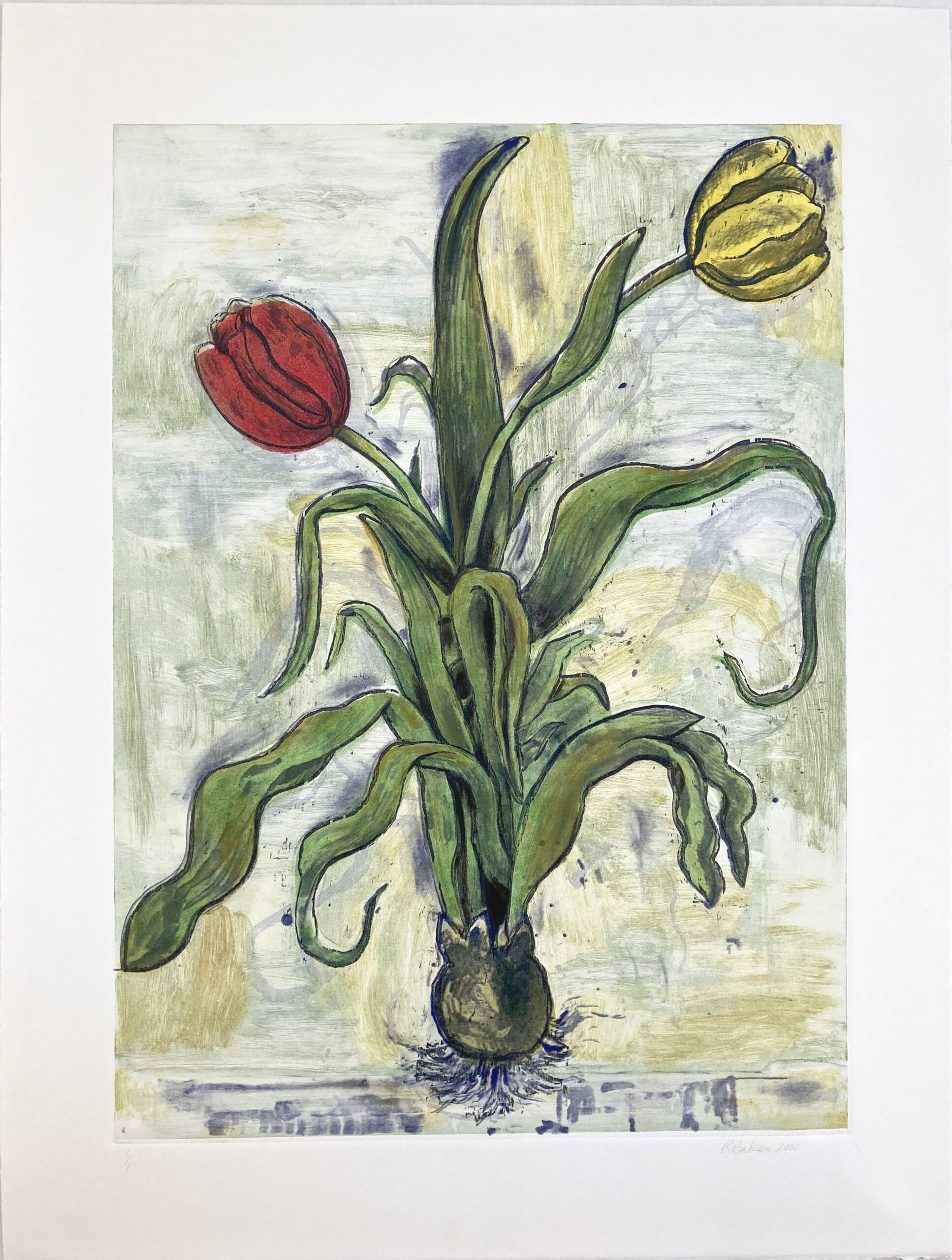 Tulips xii by Richard Baker