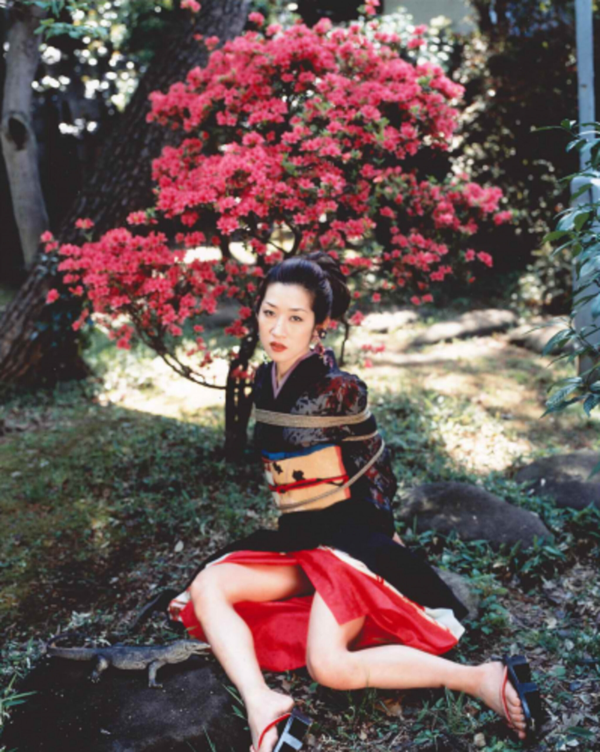 Flower, Yamorinsky and Bondaged Woman by Nobuyoshi Araki