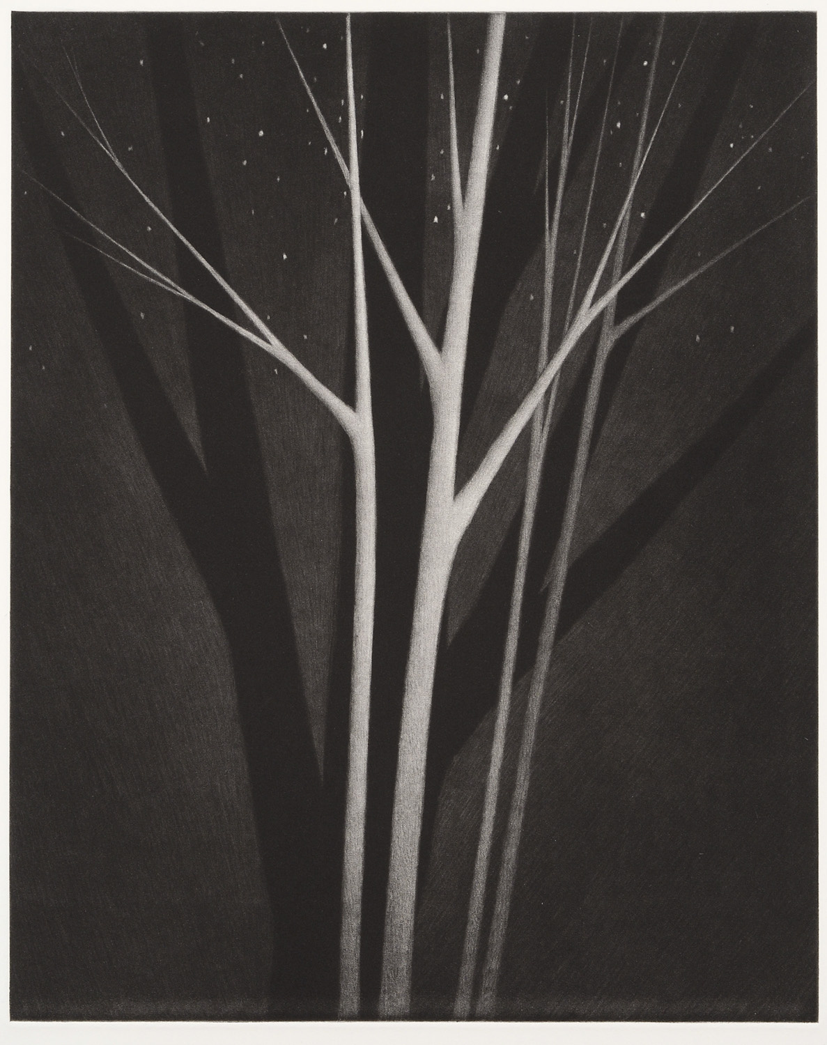 Trees and stars by Robert Kipniss