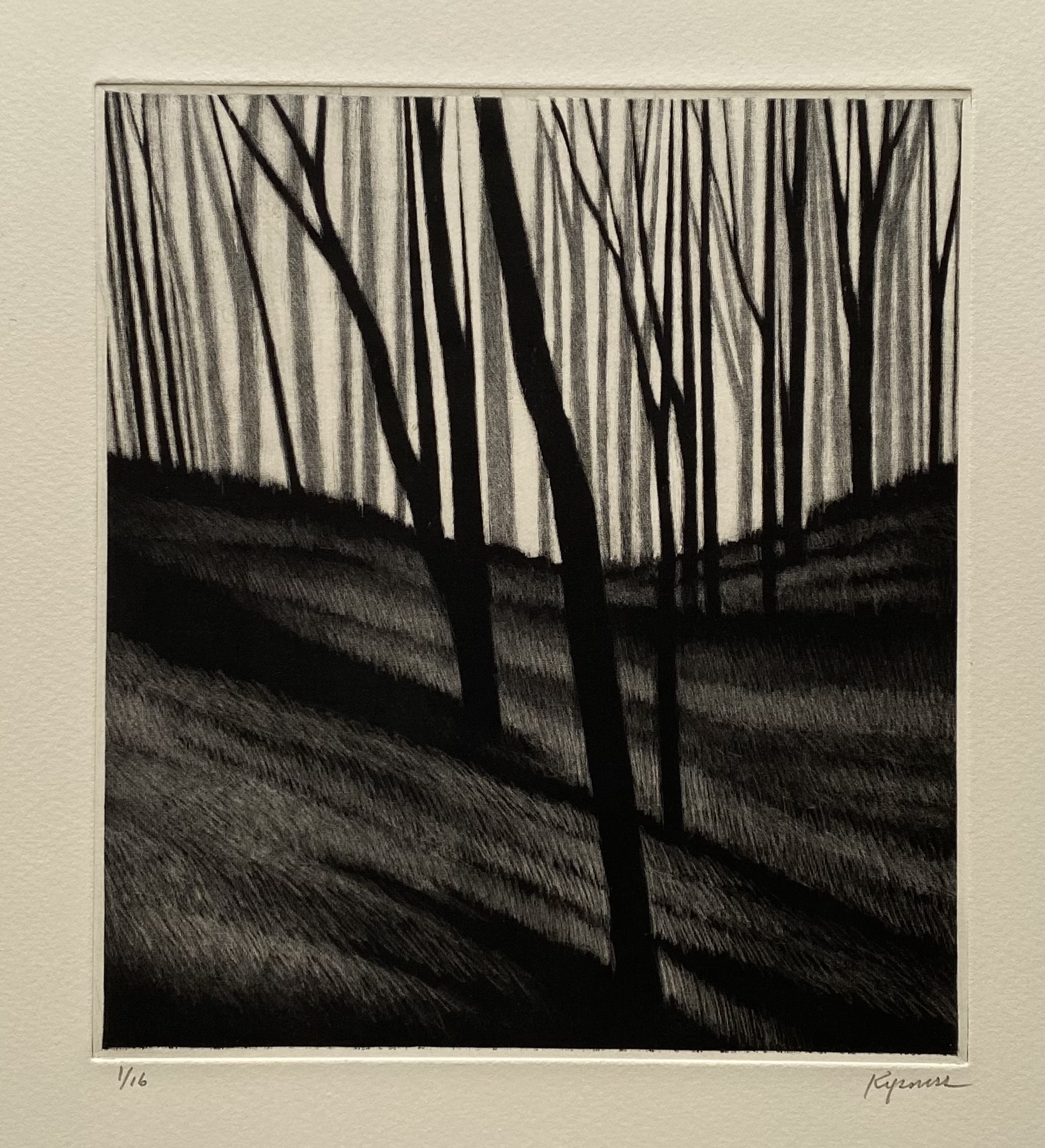 Slope w/gray & black trees by Robert Kipniss