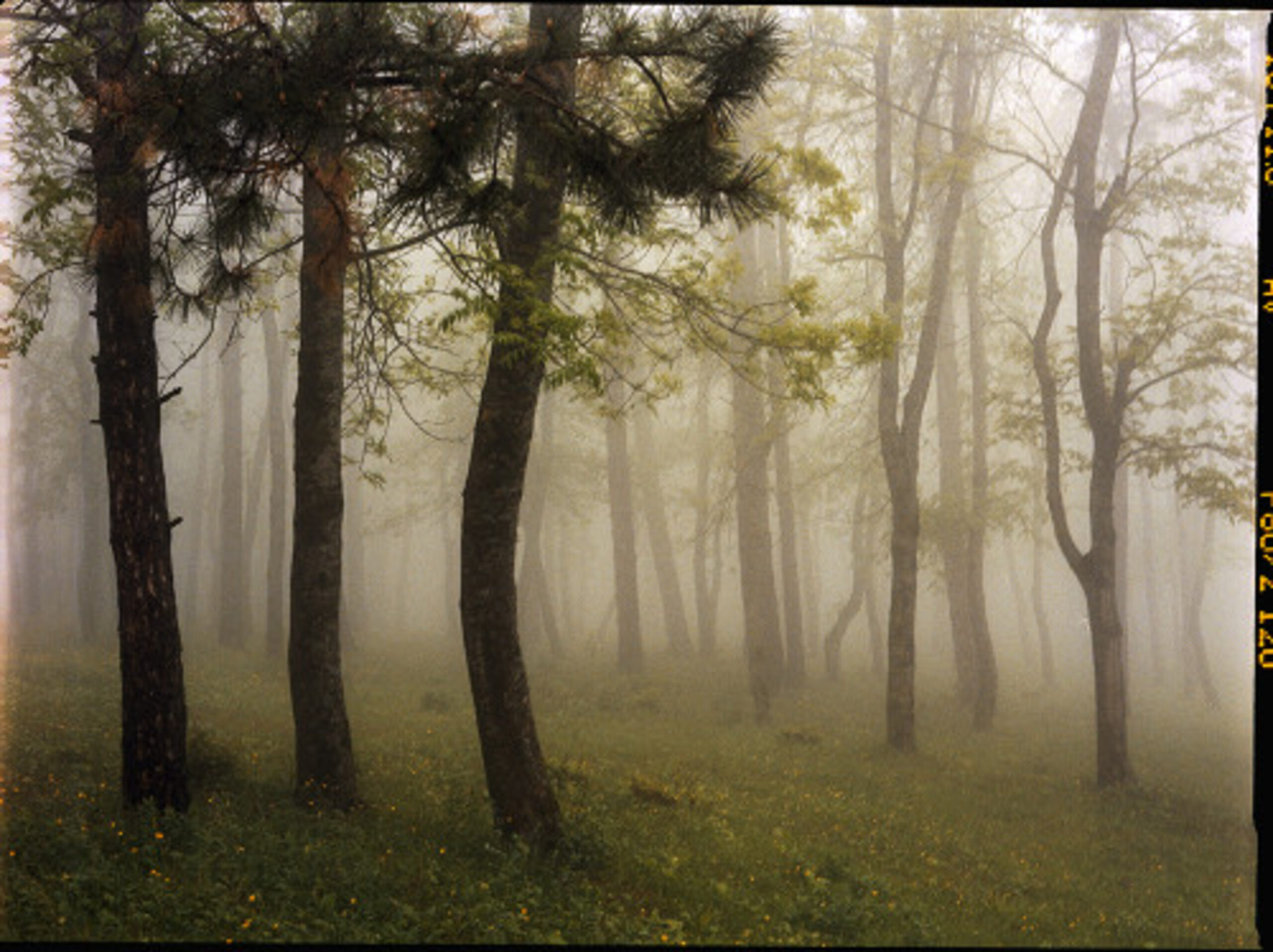 Upslope Fog in May 3 by Mariam Sitchinava