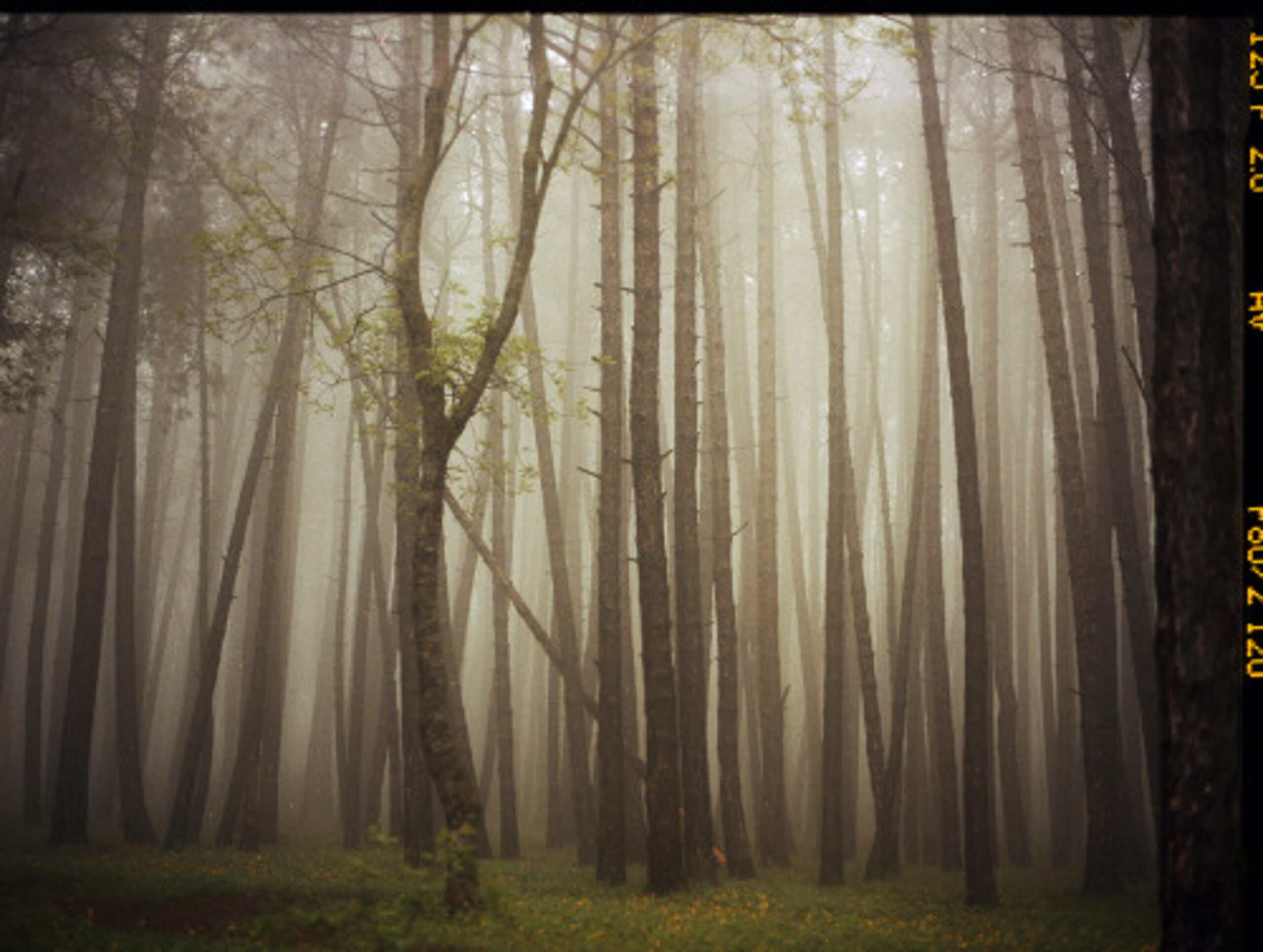 Upslope Fog in May by Mariam Sitchinava