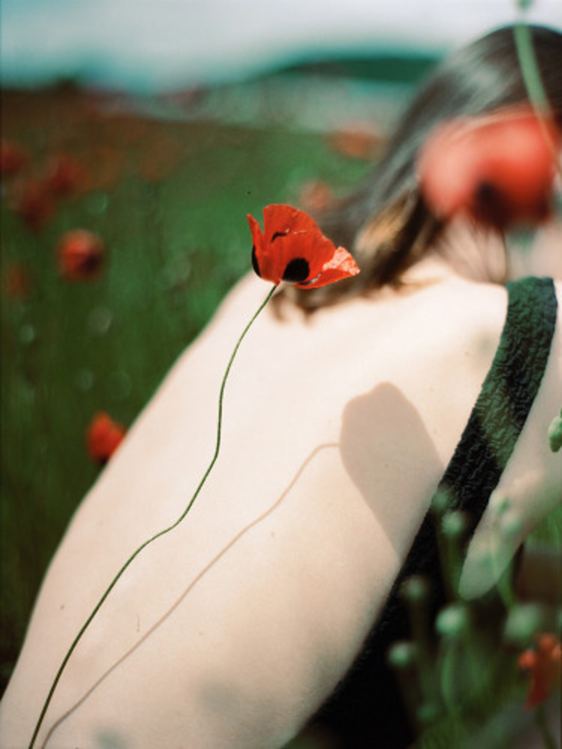 Picnic in a Poppy Field 2 by Mariam Sitchinava