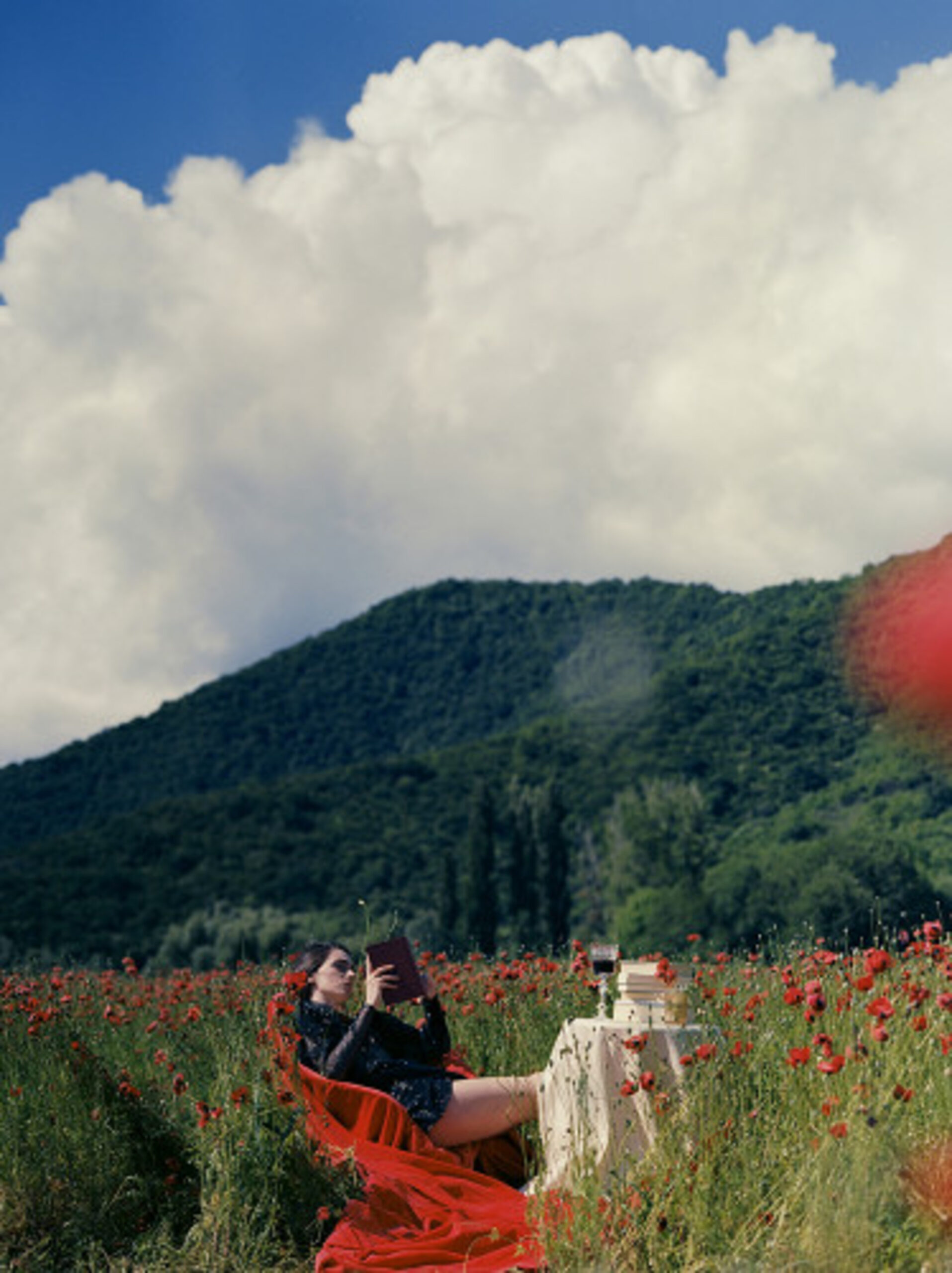 Picnic in a Poppy Field by Mariam Sitchinava