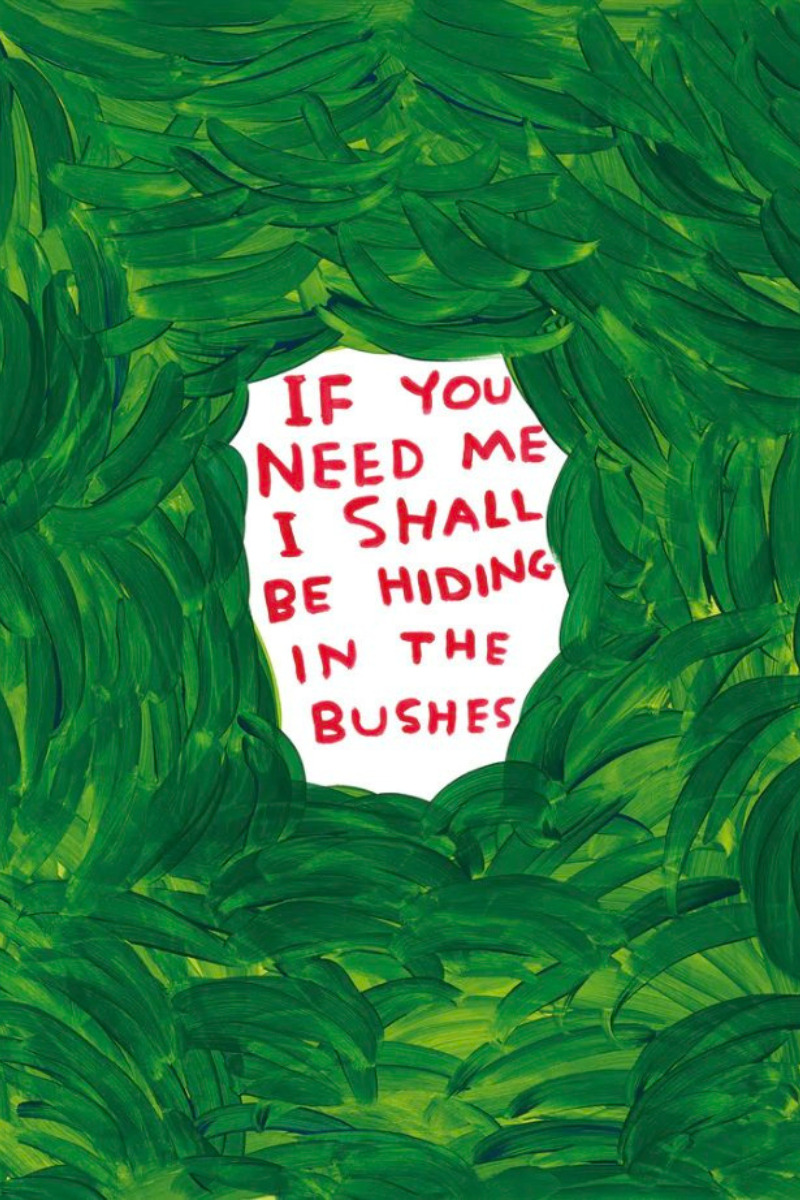 If You Need Me I Shall Be Hiding in the Bushes by David Shrigley