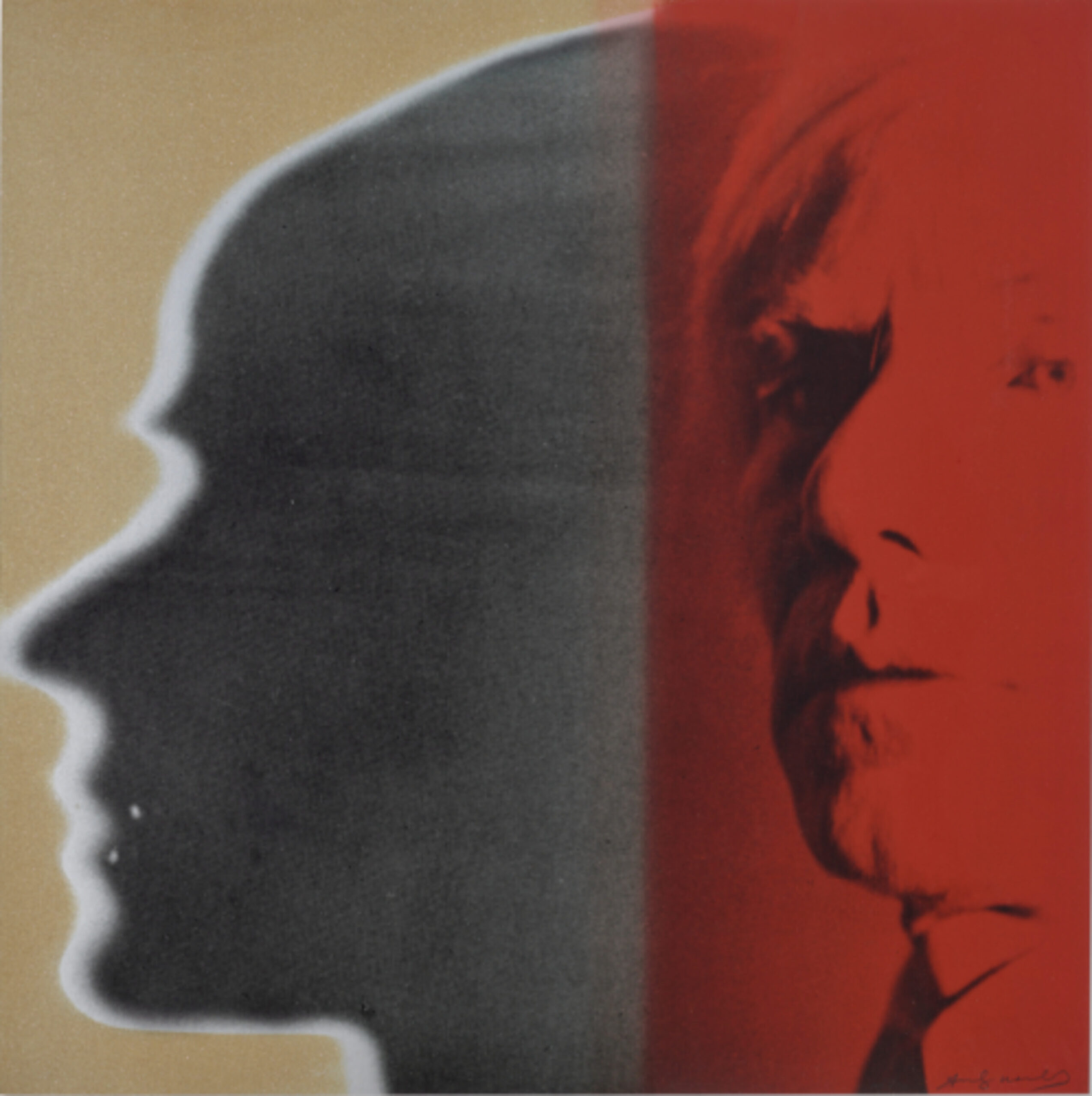 The Shadow by Andy Warhol