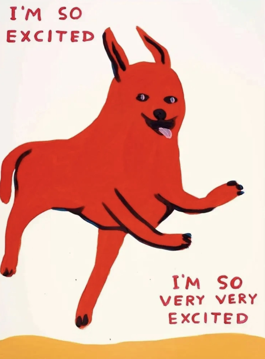 Im So Excited by David Shrigley