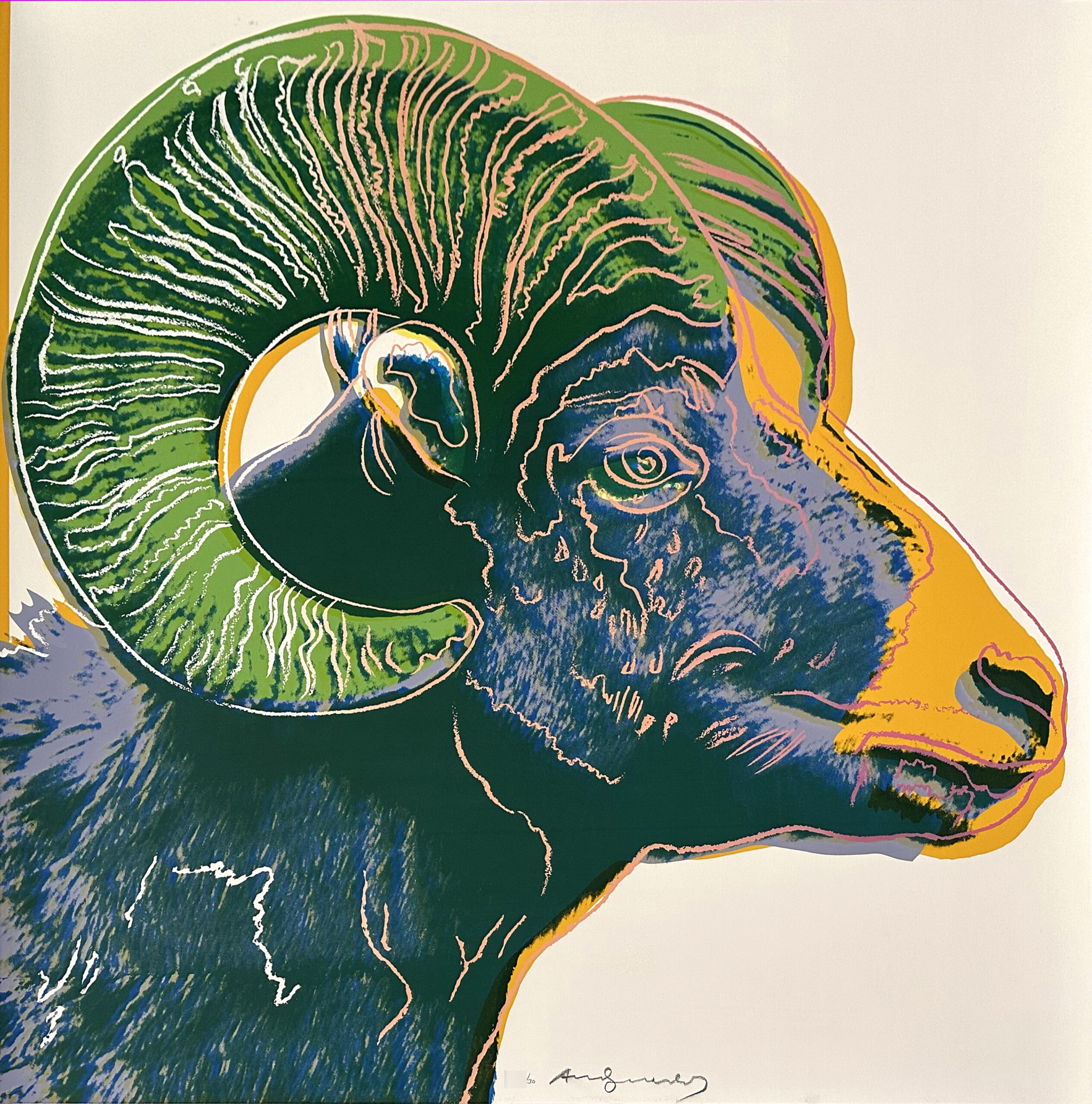 Bighorn Ram (FS II.302) by Andy Warhol