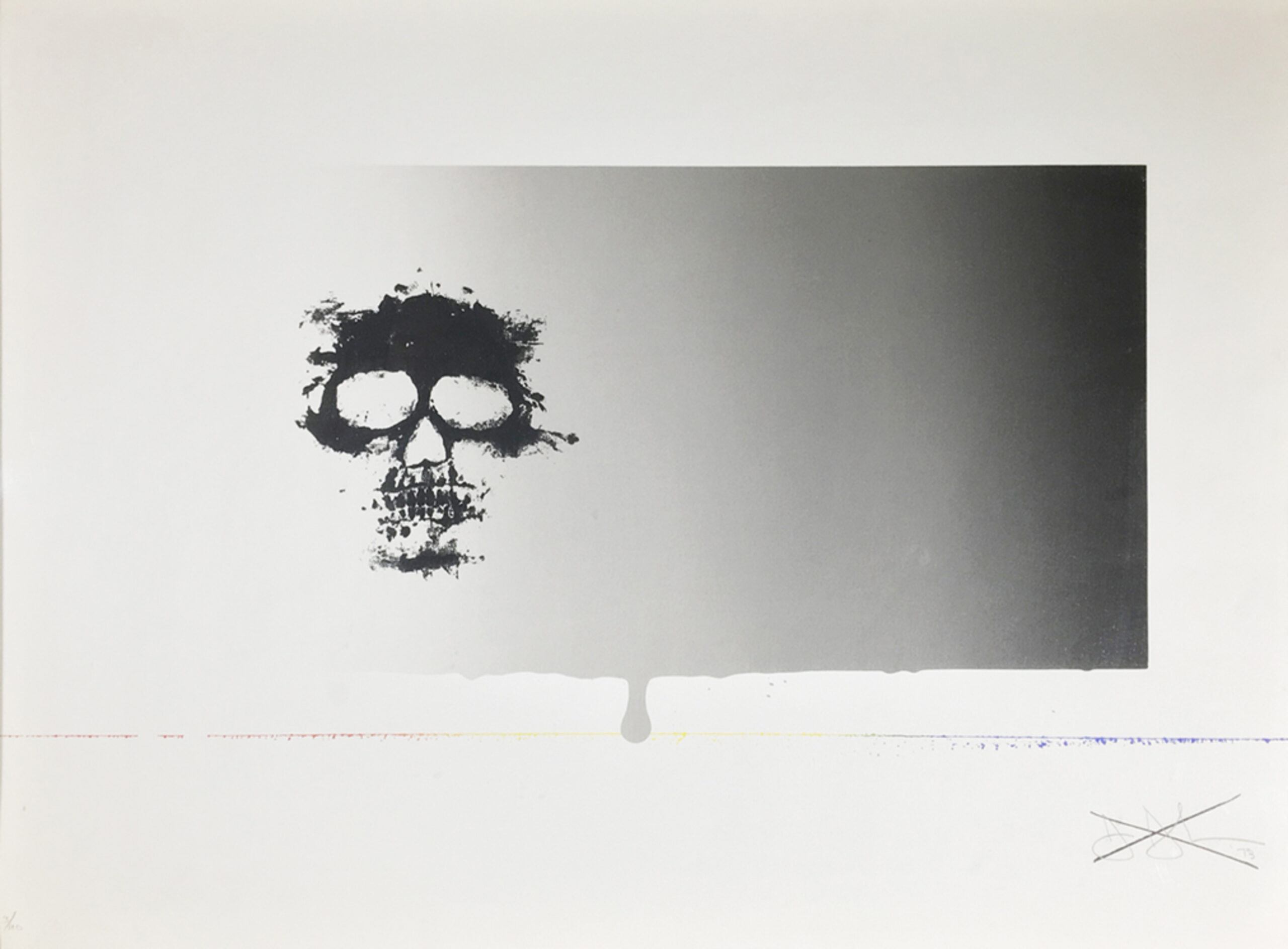 Untitled (Skull) by Jasper Johns