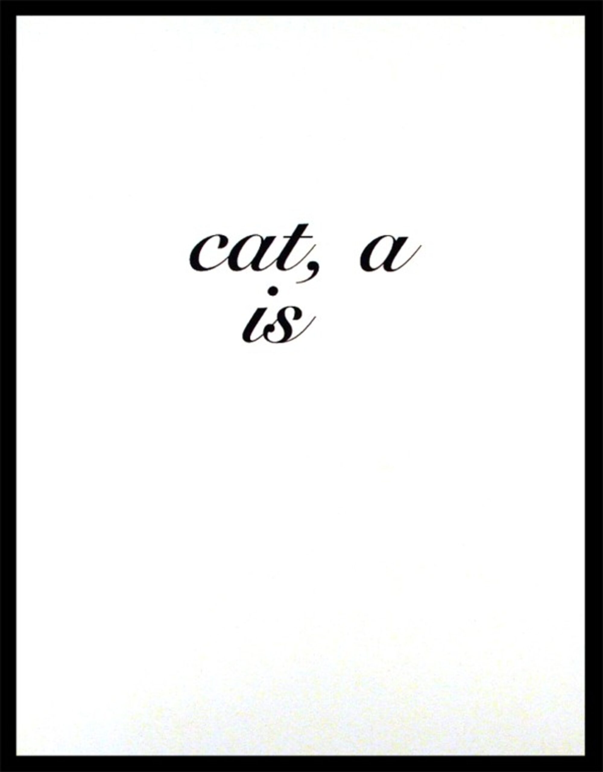 Cat a is by Diana Thater