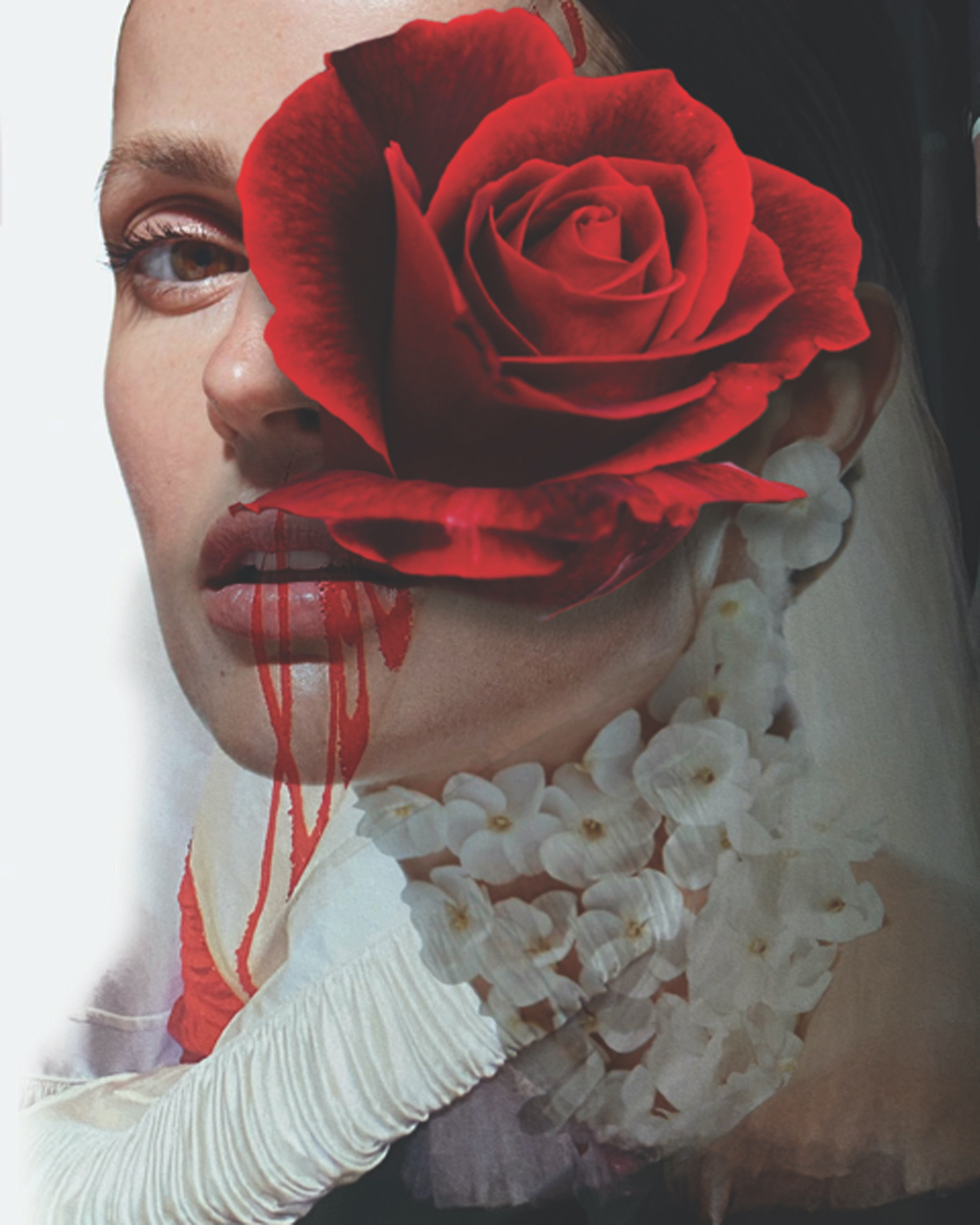 Love Me With Roses by Amanda Johnstone