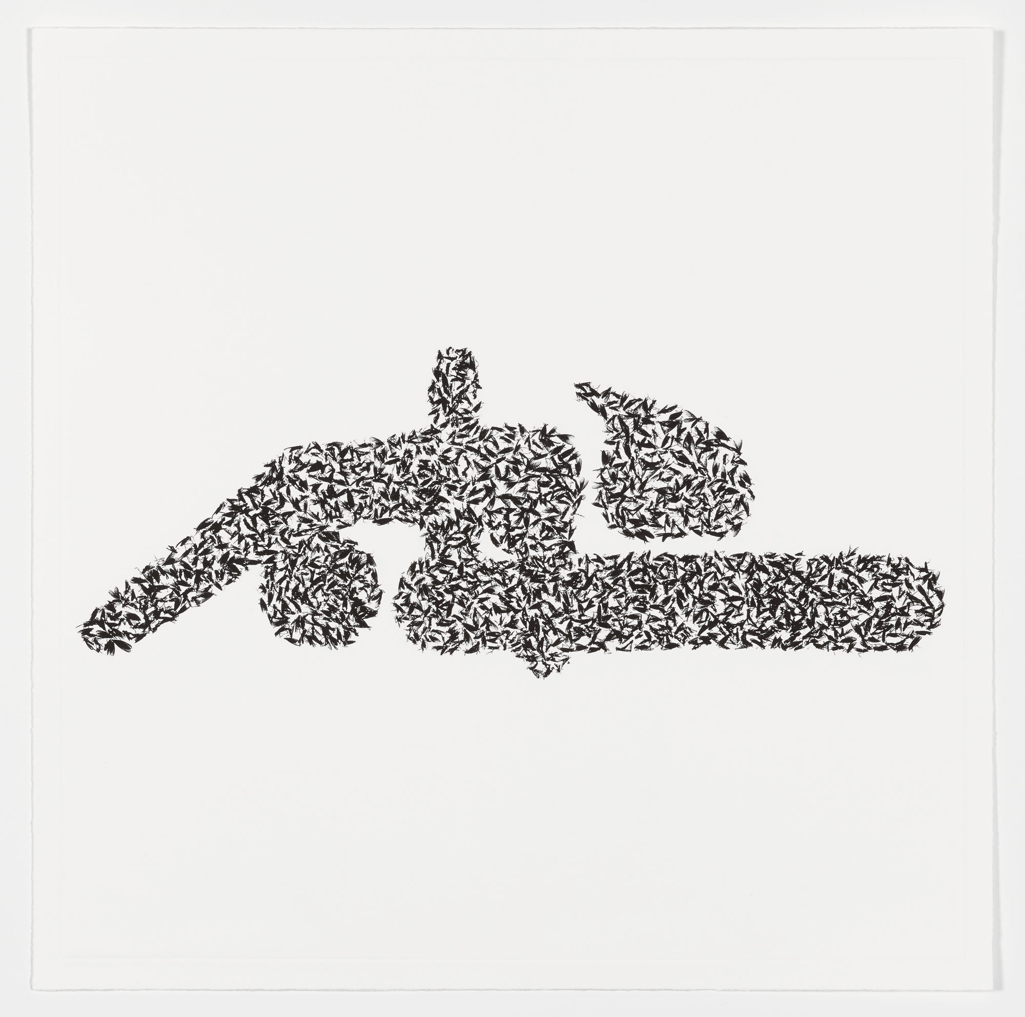 Lovebugs by Vik Muniz