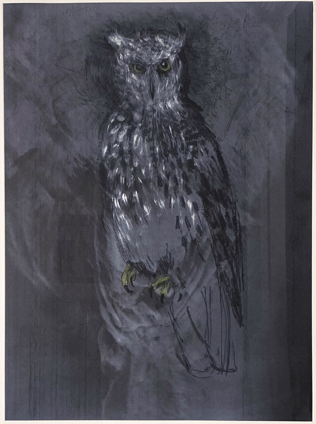 Great Horned Owl by Jim Dine