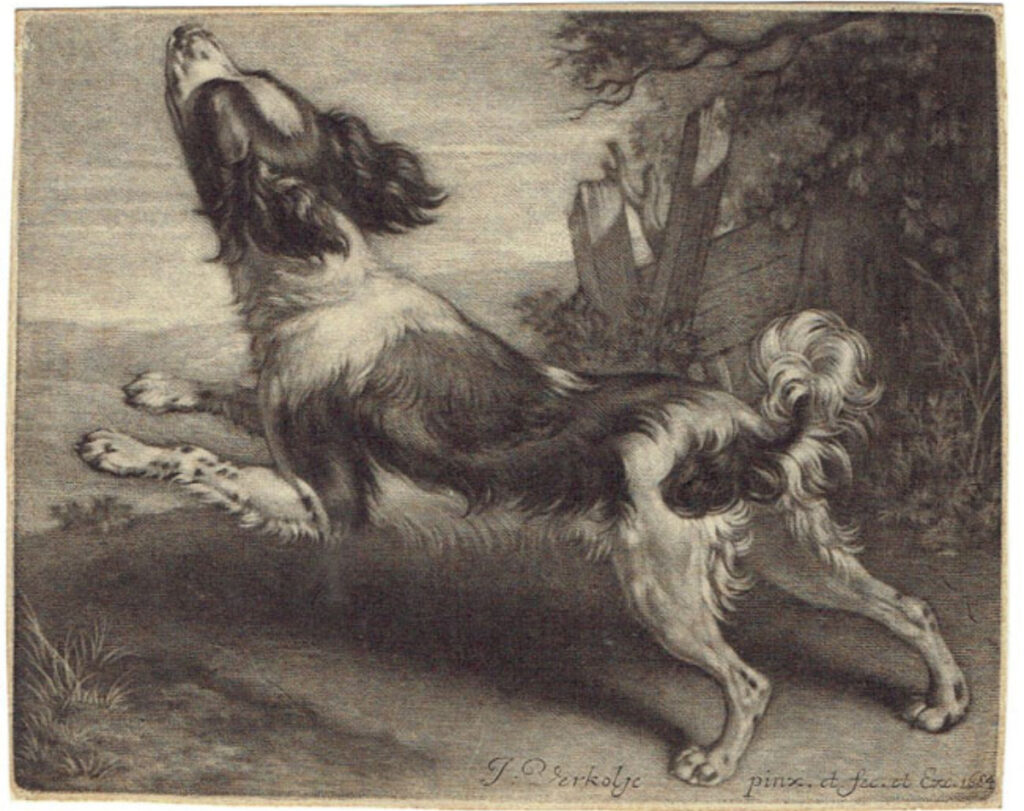 A Spaniel leaping to the left by Jan Verkolje