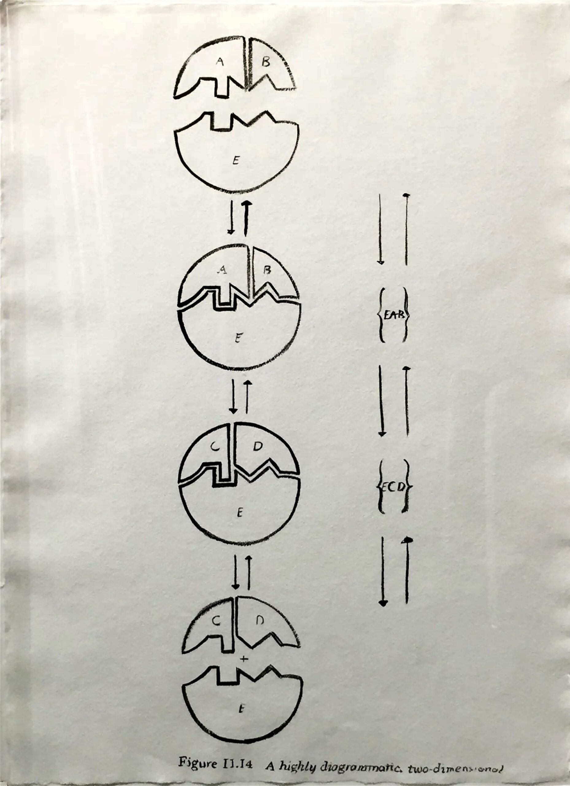 Physiological Diagram by Andy Warhol