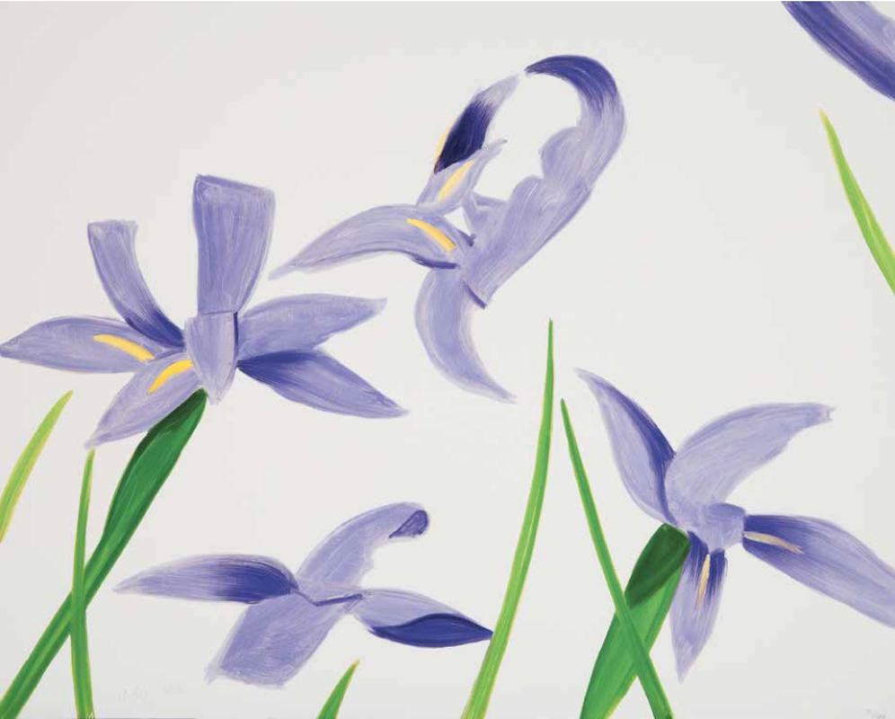 Purple Irises on White by Alex Katz