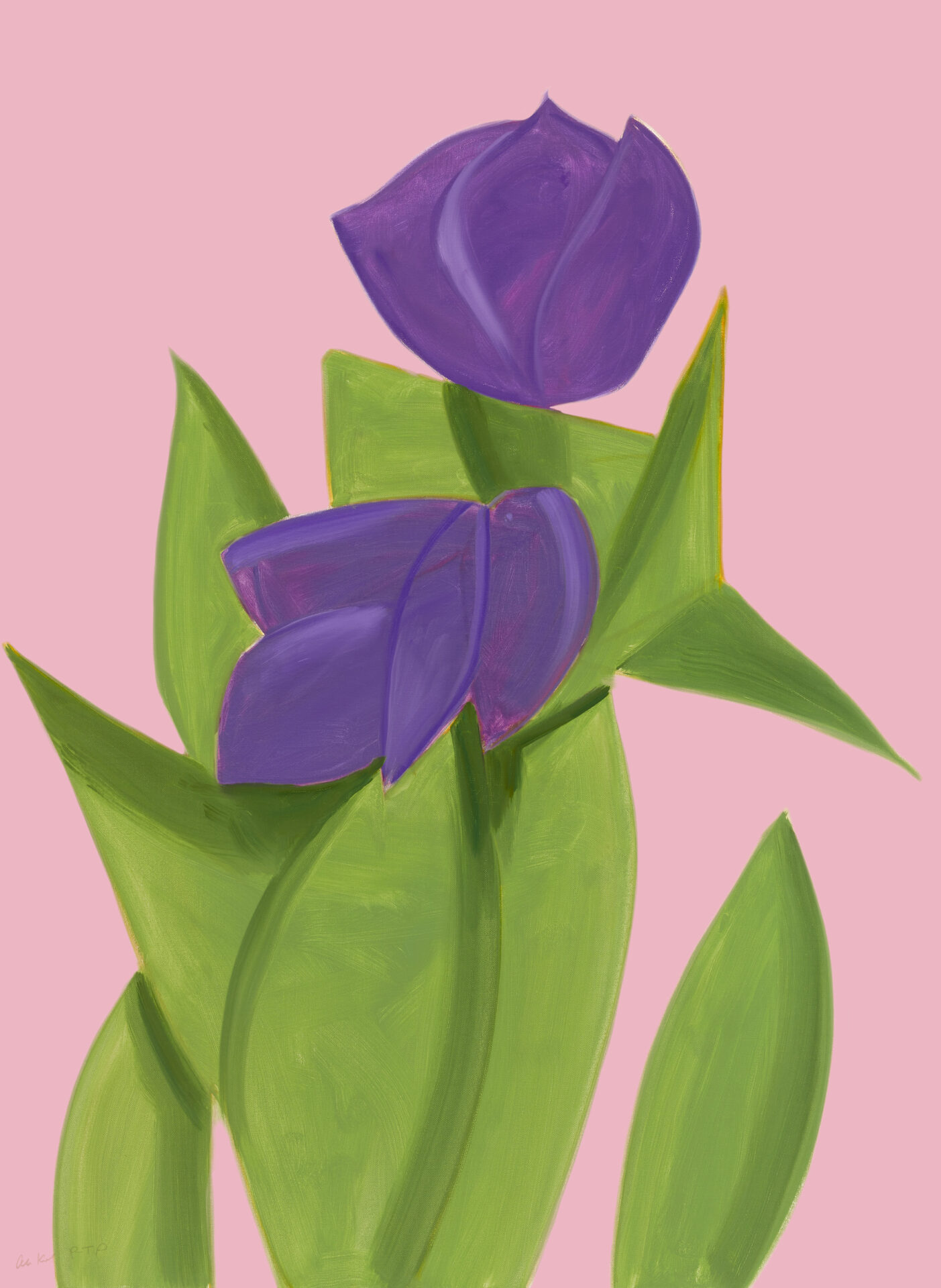 Purple Tulips 2 from The Flowers Portfolio by Alex Katz