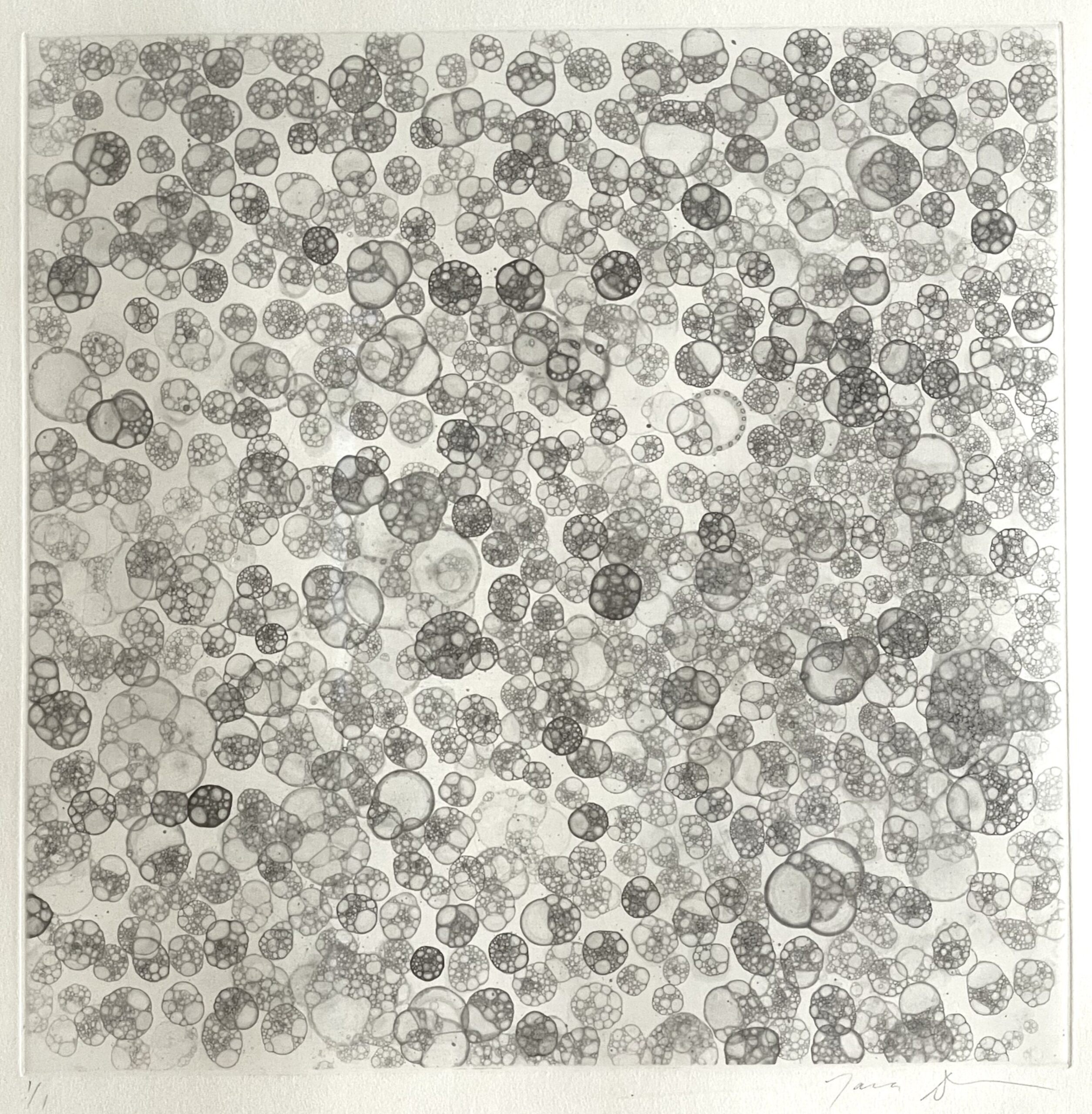 Bubble Drawing by Tara Donovan