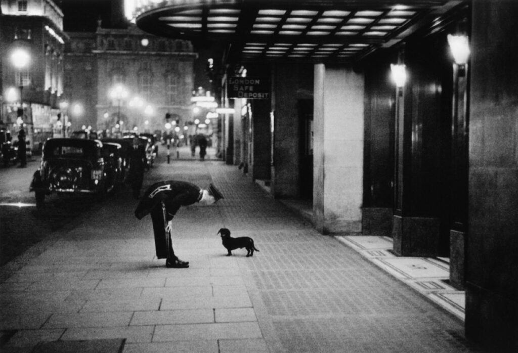 Commissionaire’s Dog, Kurt Hutton