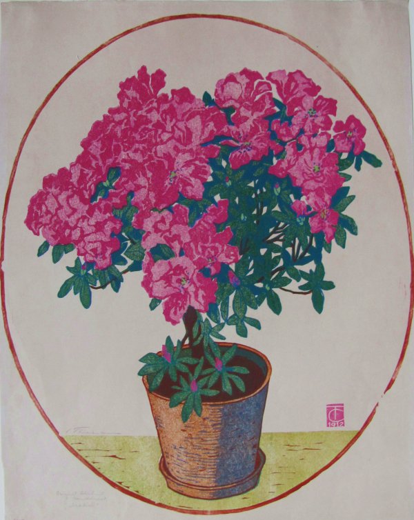 Azalea, 1912, Carl Thiemann